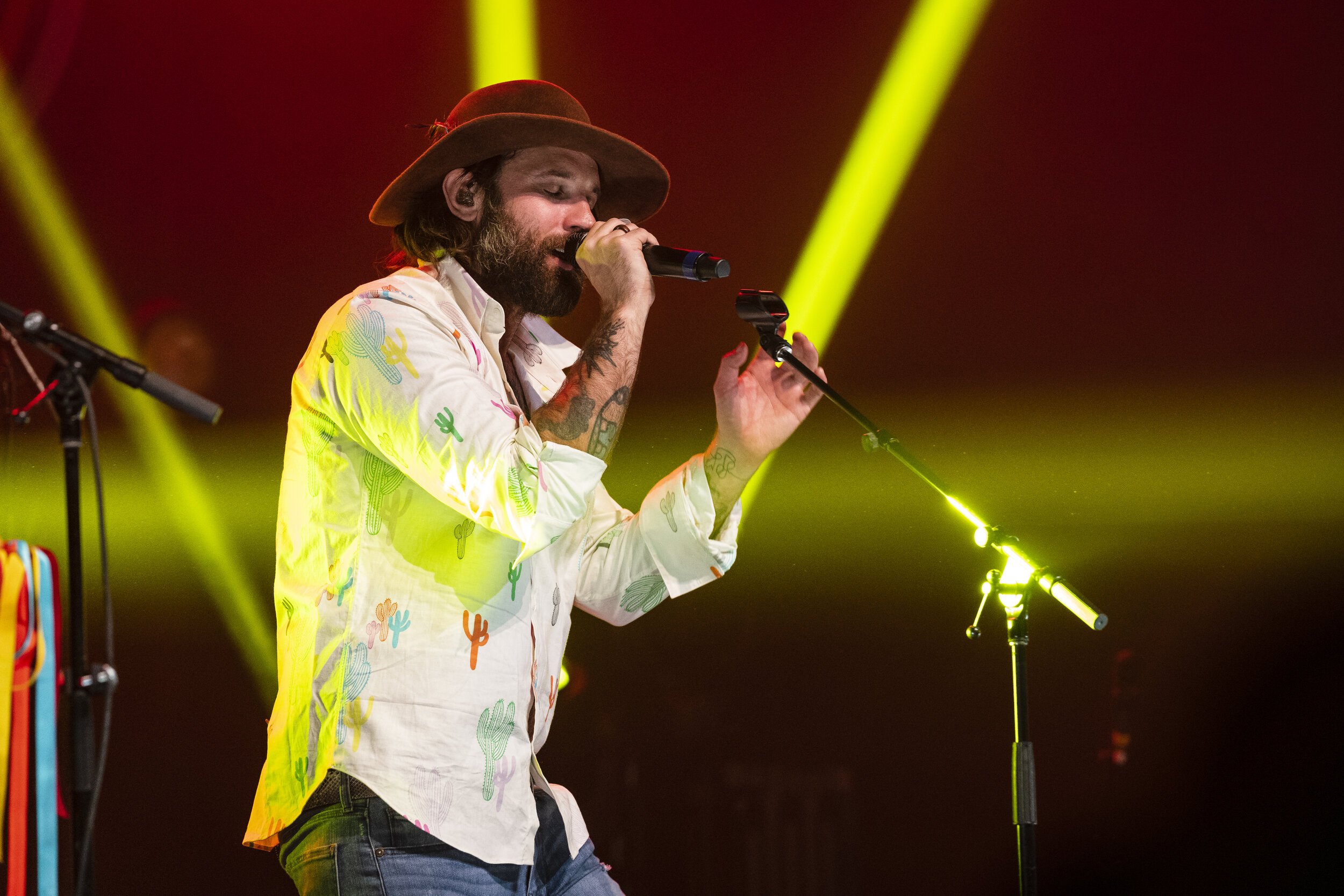 Strumbellas 2.jpeg