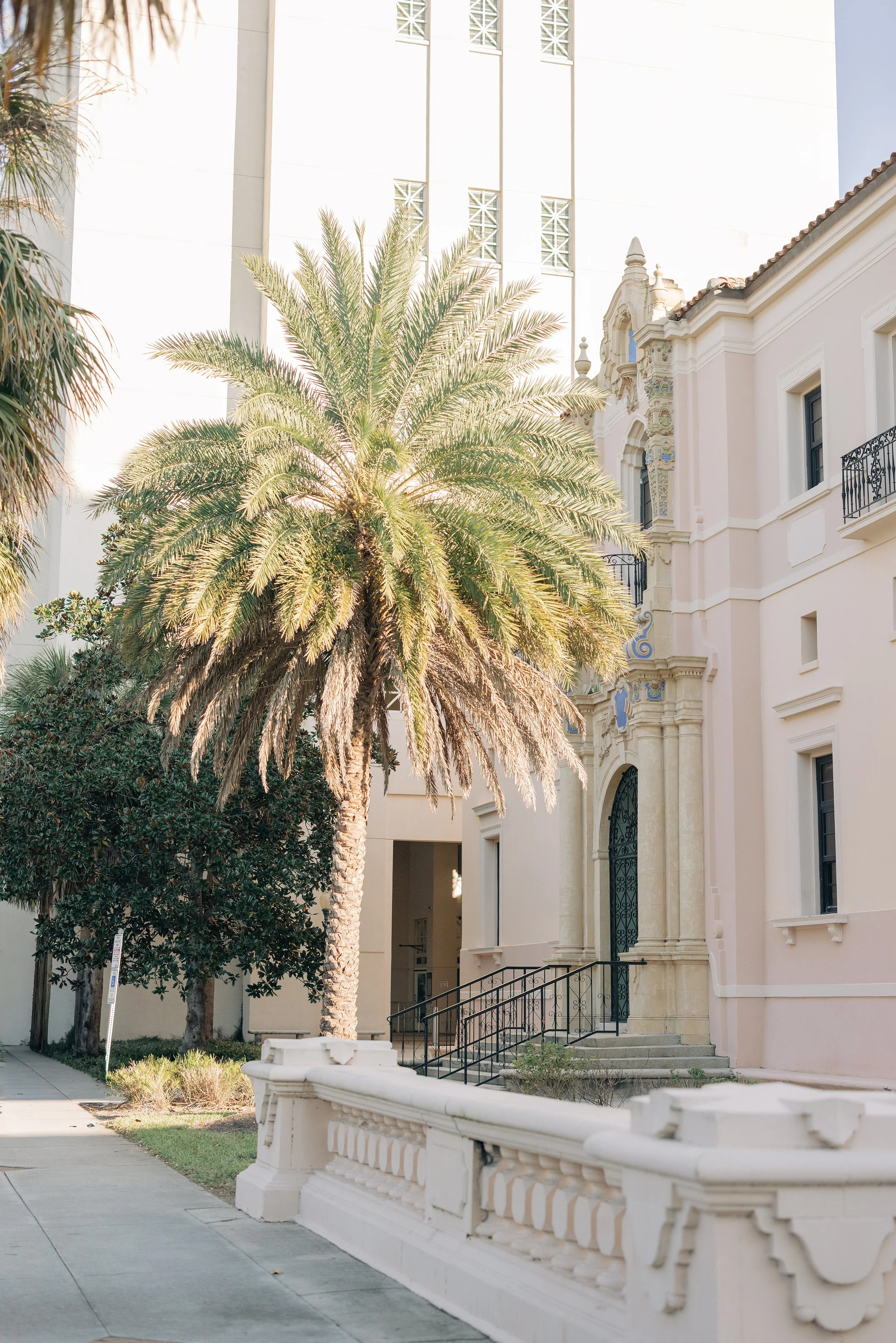 Amber + Joseph's Historic Sarasota Courthouse Elopement - Sarasota Modern - Sarasota Wedding Photographer - Mused Photo (229).jpg
