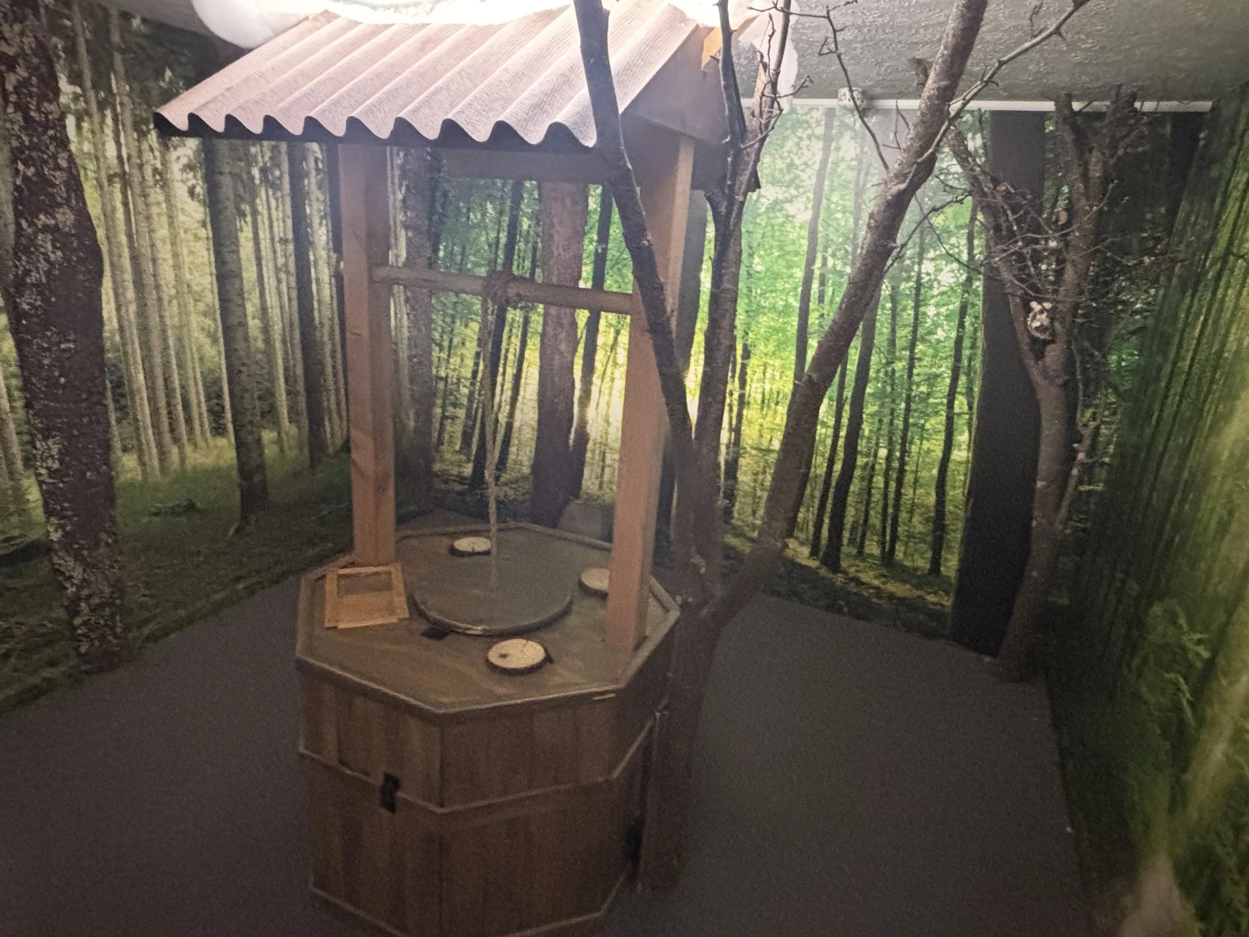 Indoor photo of a forest-themed room with walls covered in forest imagery, featuring a wooden wishing well with a roof and swing, set in a room designed to resemble a forest scene.