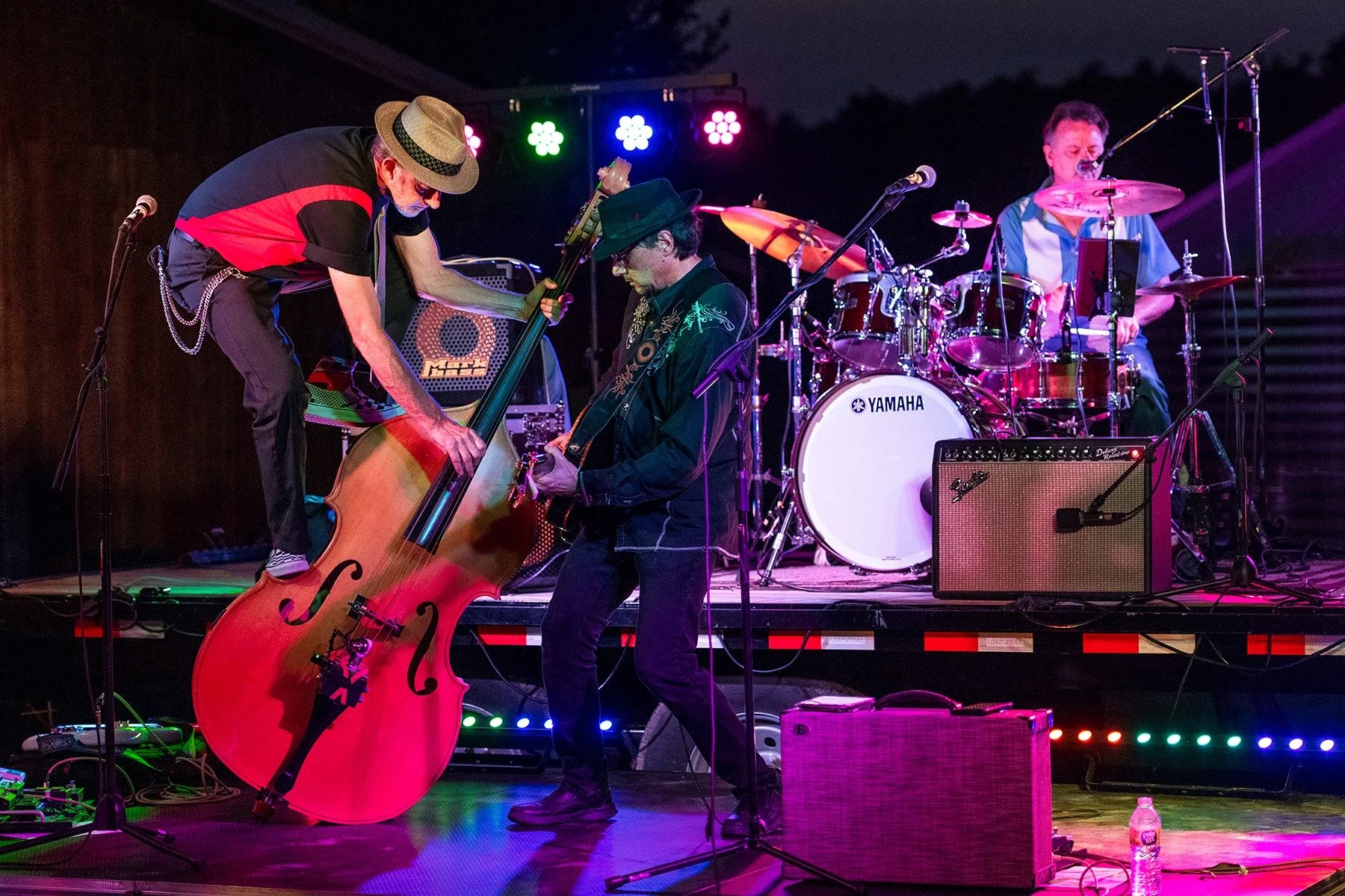The Vinyl Stripes Band
