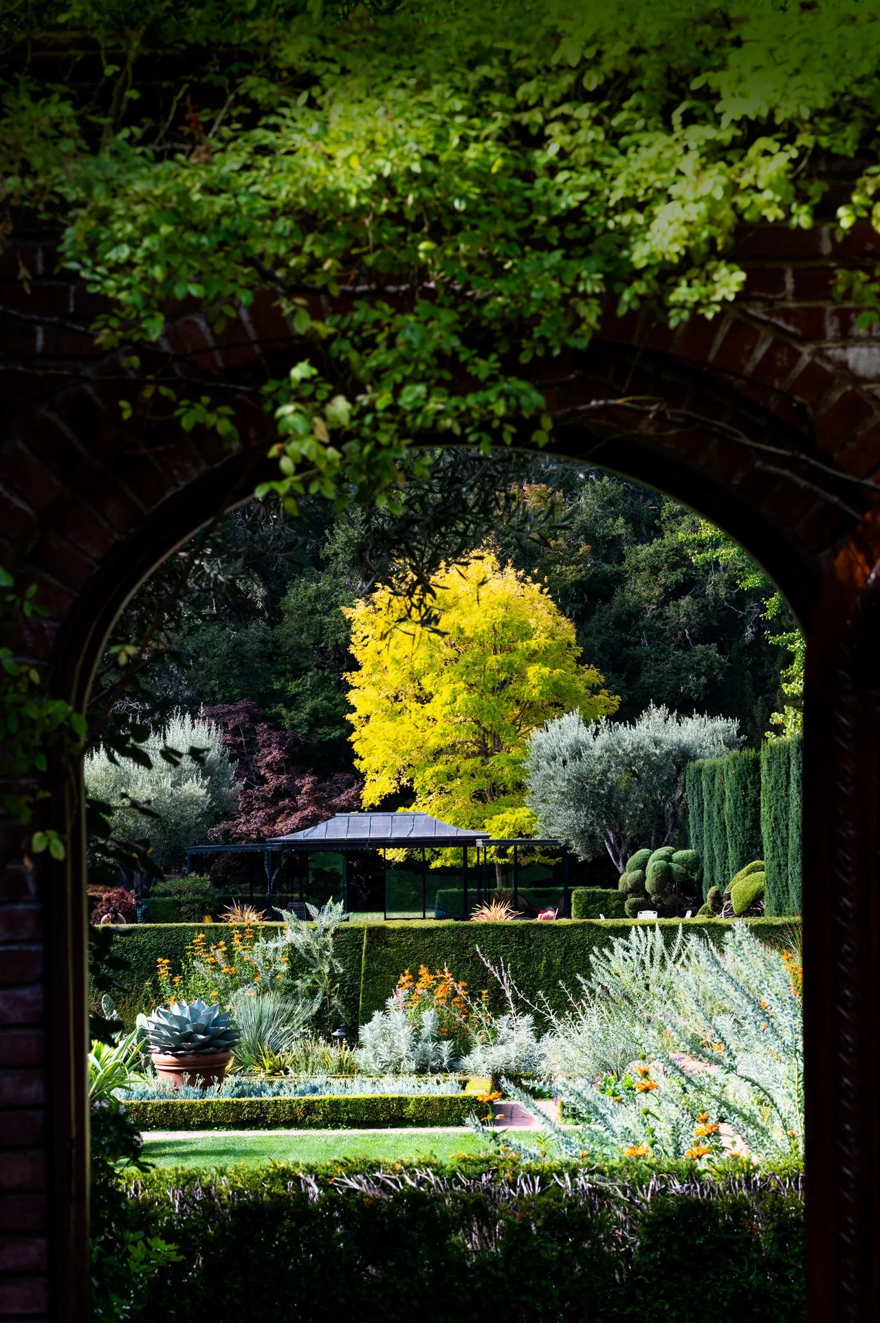 Filoli Garden