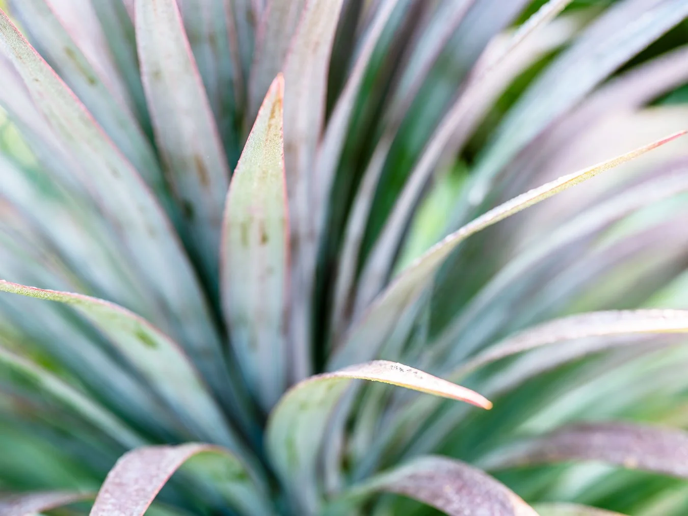 Winter Color Palette