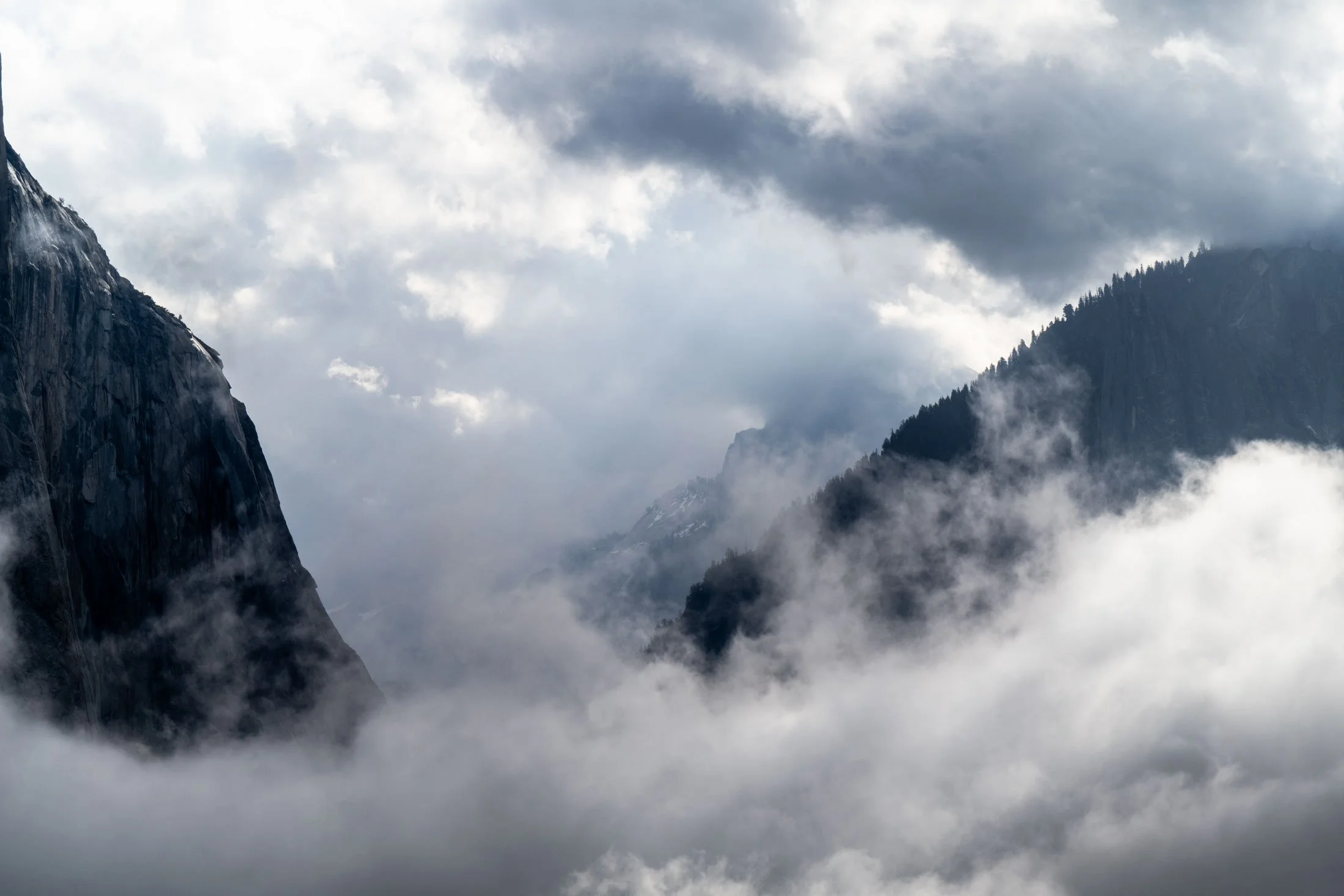 Fog in Yosemite Valley