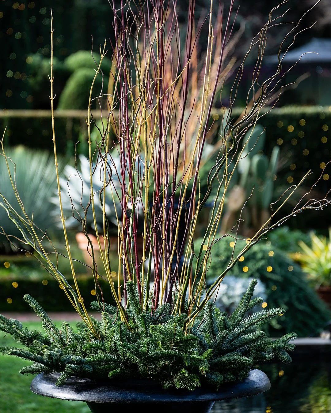 December Flora