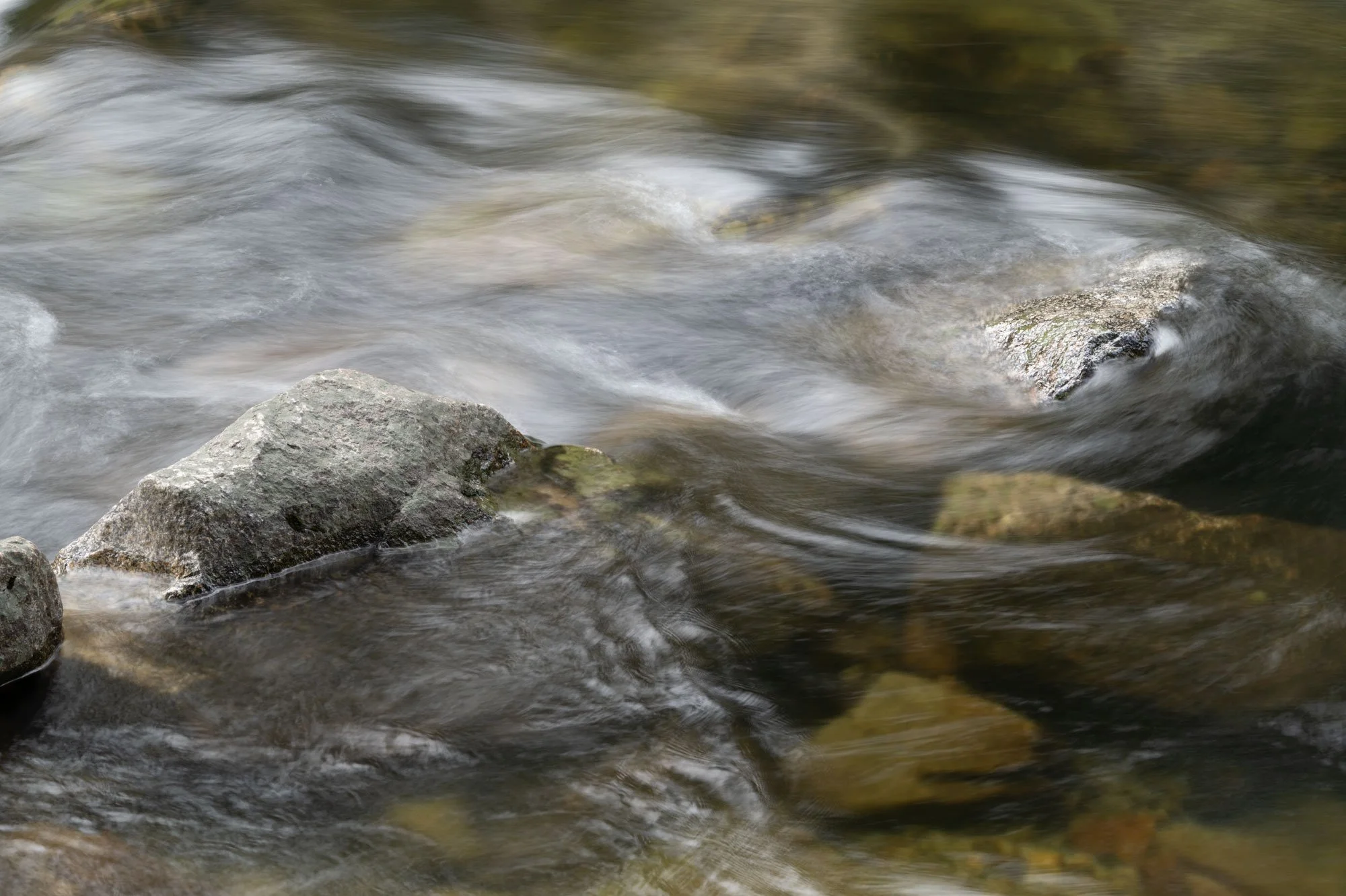 Primordial Water