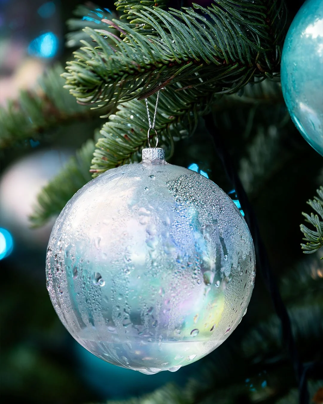Holiday in December