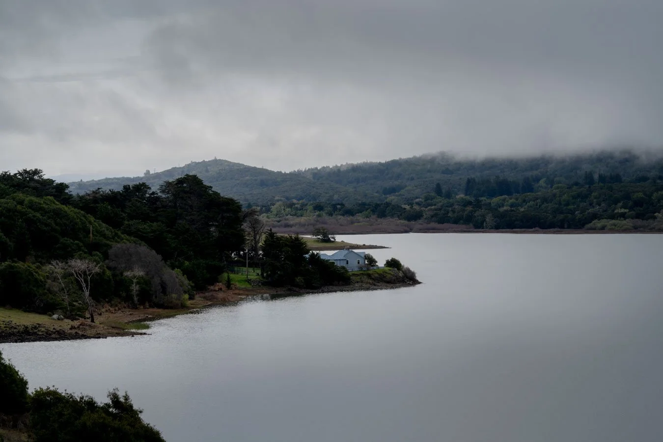 Crystal Springs and Fog