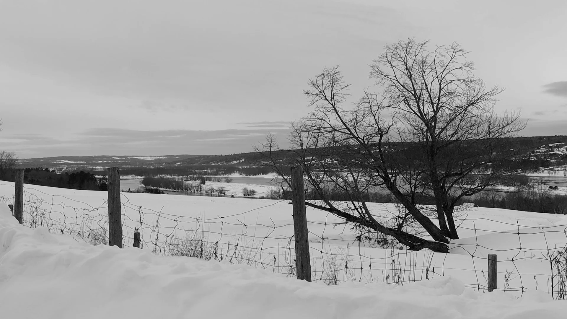 haiku screengrab.jpg