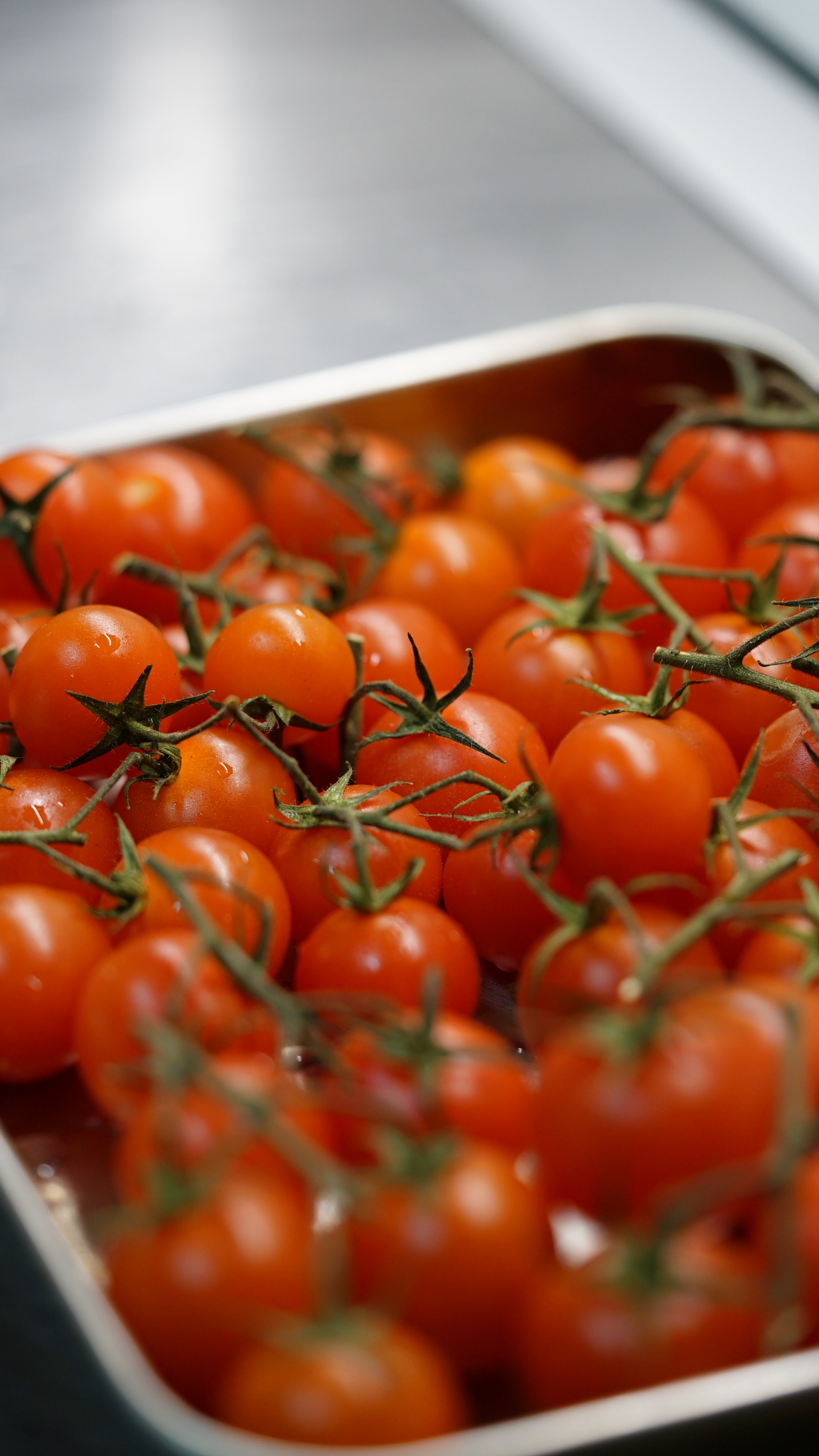 vegmind-cafe-ingredient-tomato