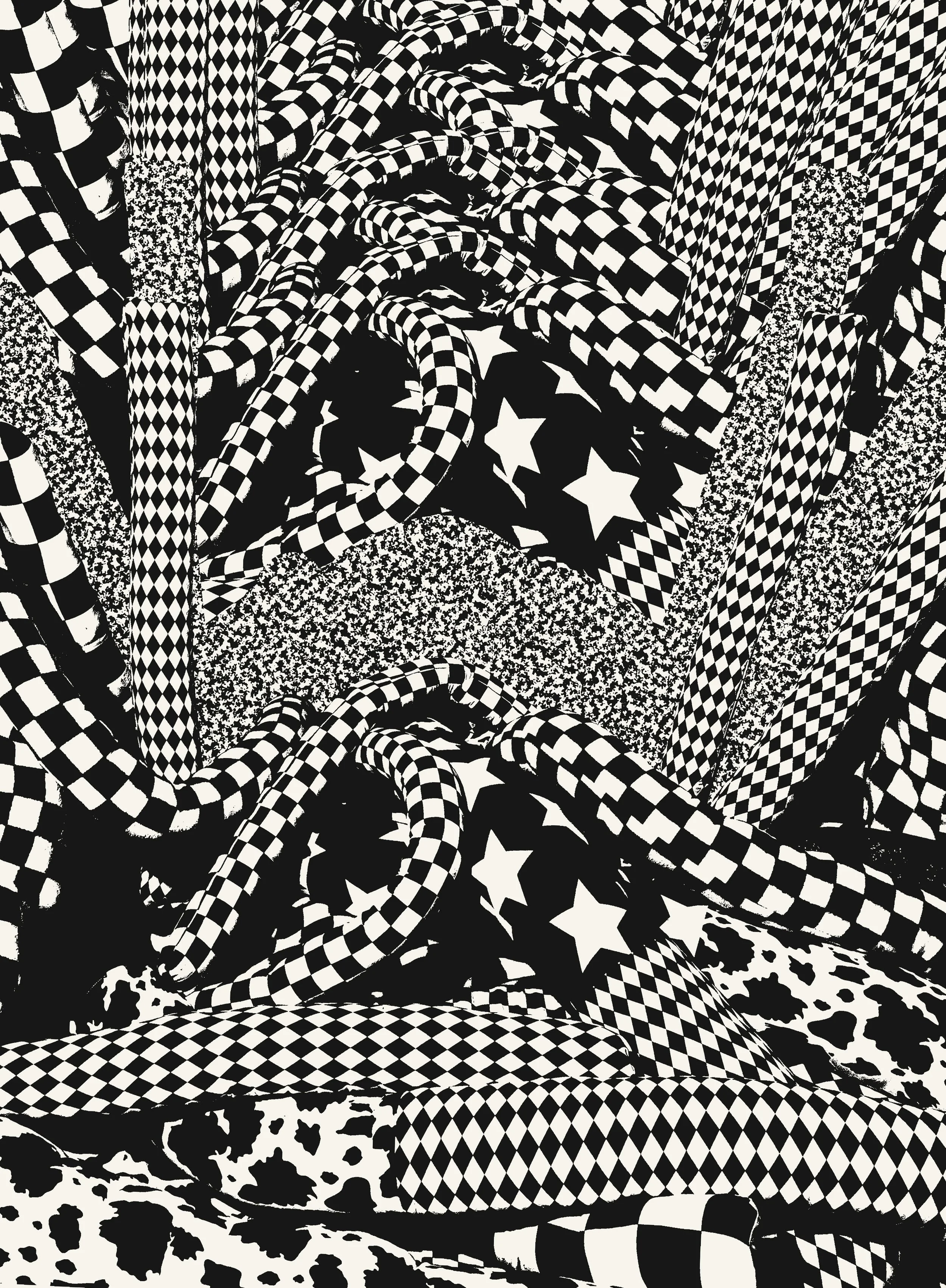 checker landscape B&W.jpg