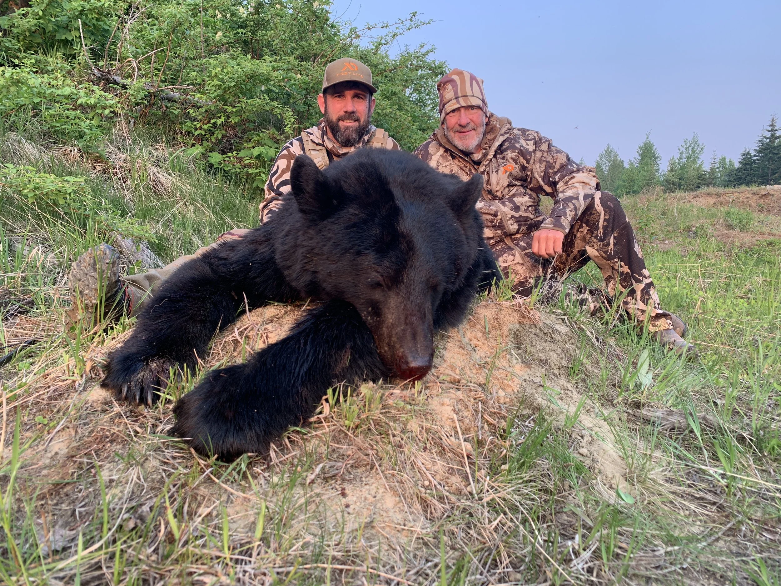 Bear: Trophy black bear taken spot-and-stalk on a guided BC hunt with Primitive Outfitting