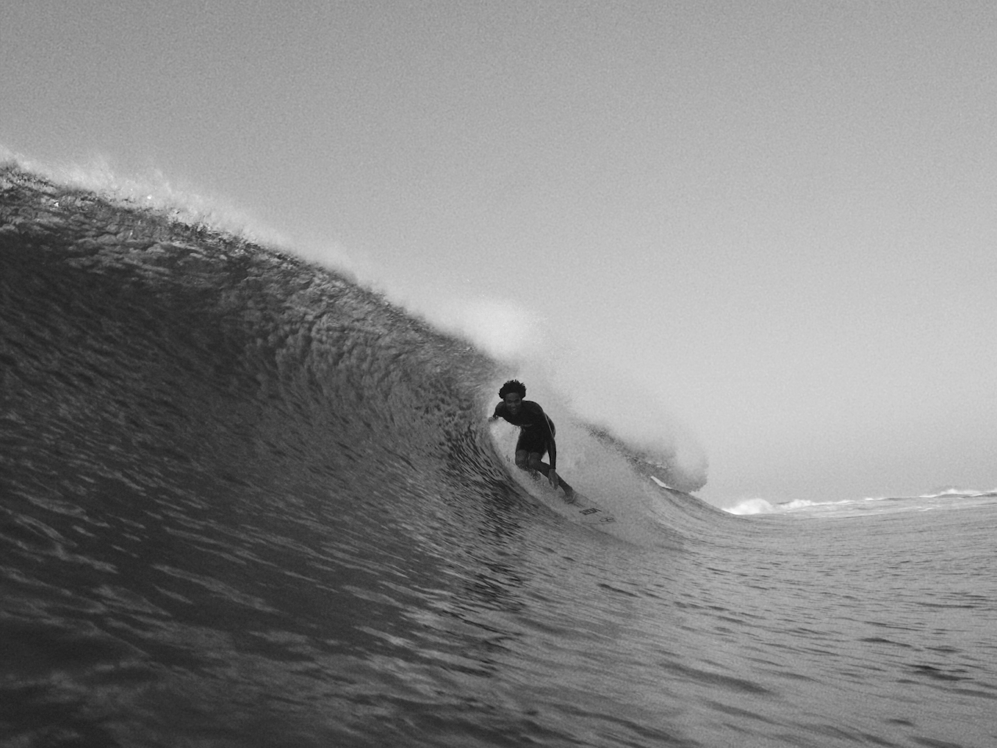 Shorts - Our Oceans Program