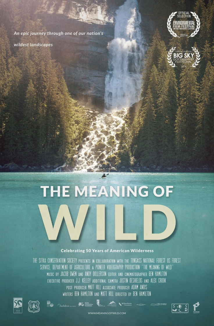 The Meaning of Wild