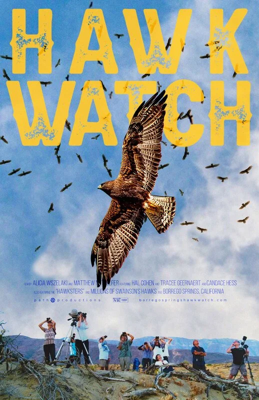 Hawk Watch
