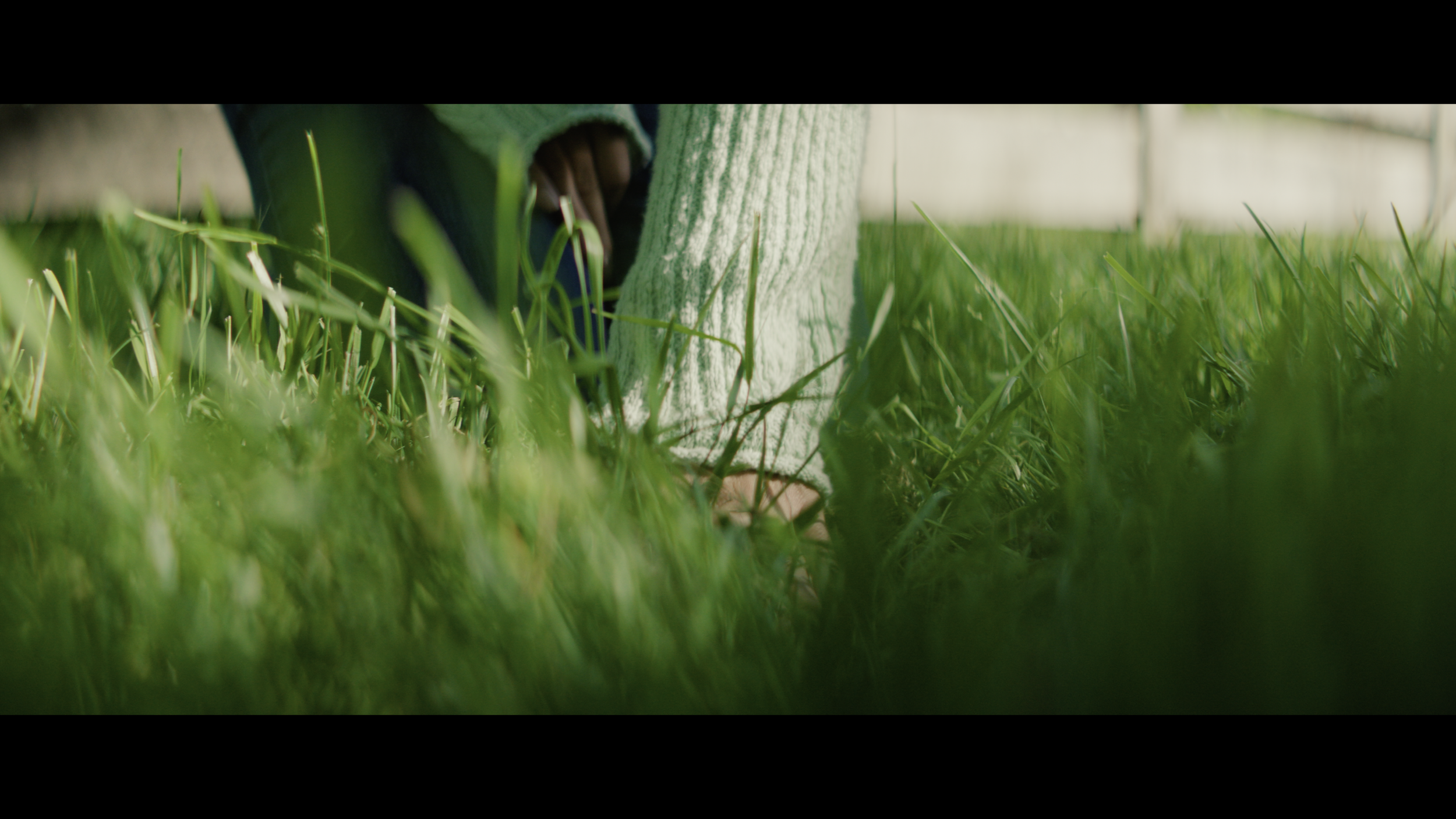 Screenshot 2024-06-19 at 12.09.05 AM.png