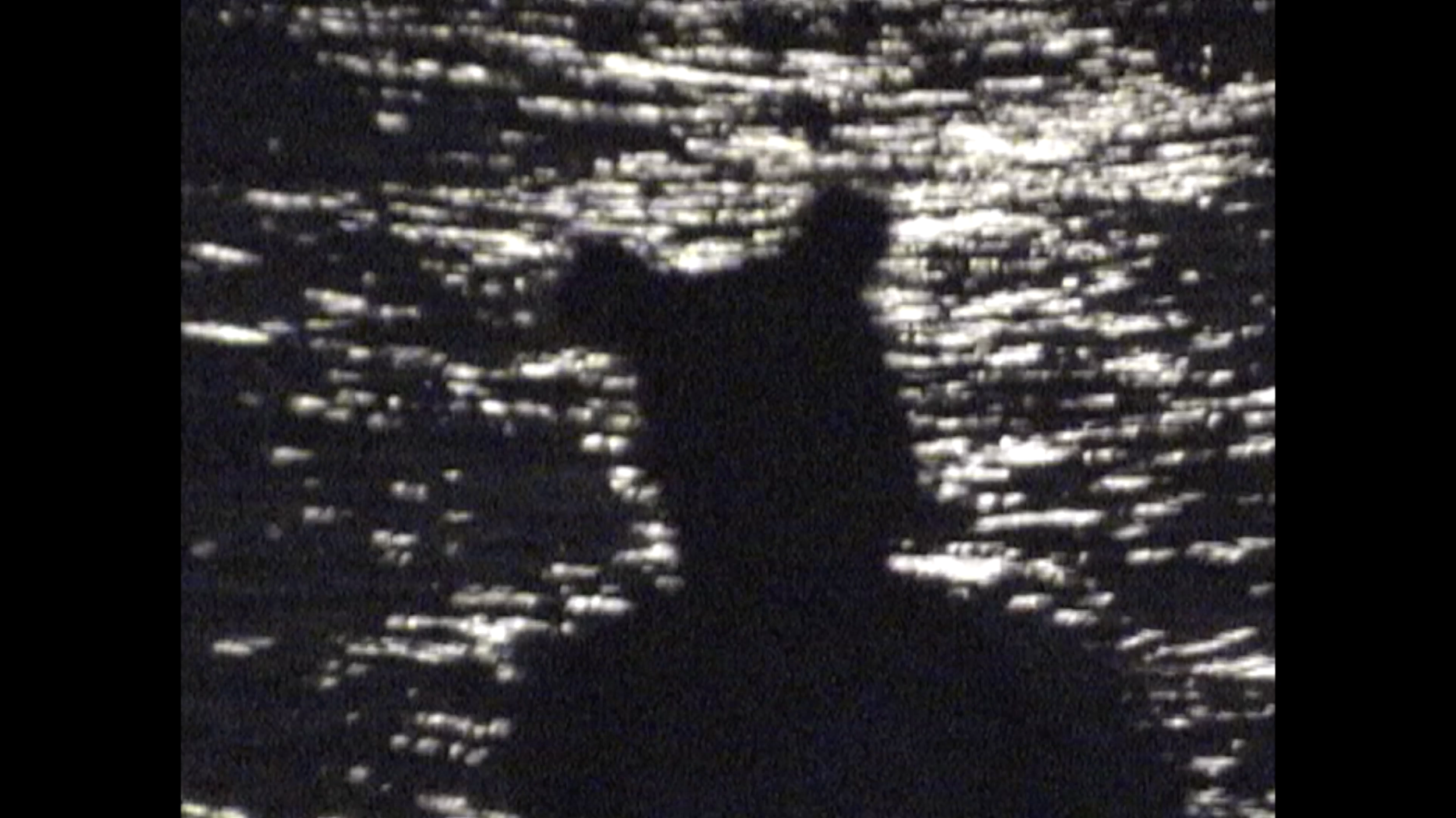 Screenshot 2023-04-03 at 9.07.37 PM.png