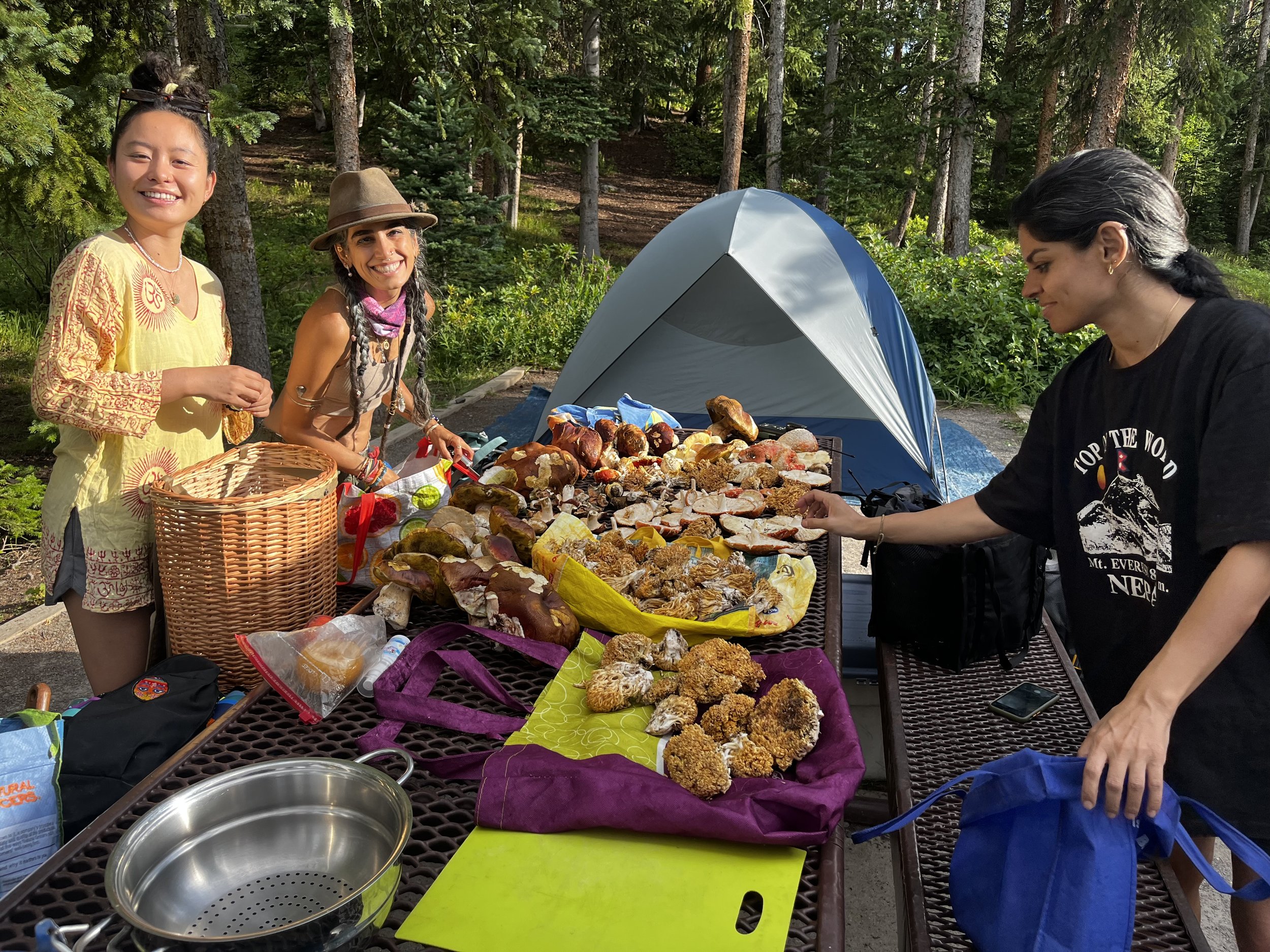 WCMA Community Camp
