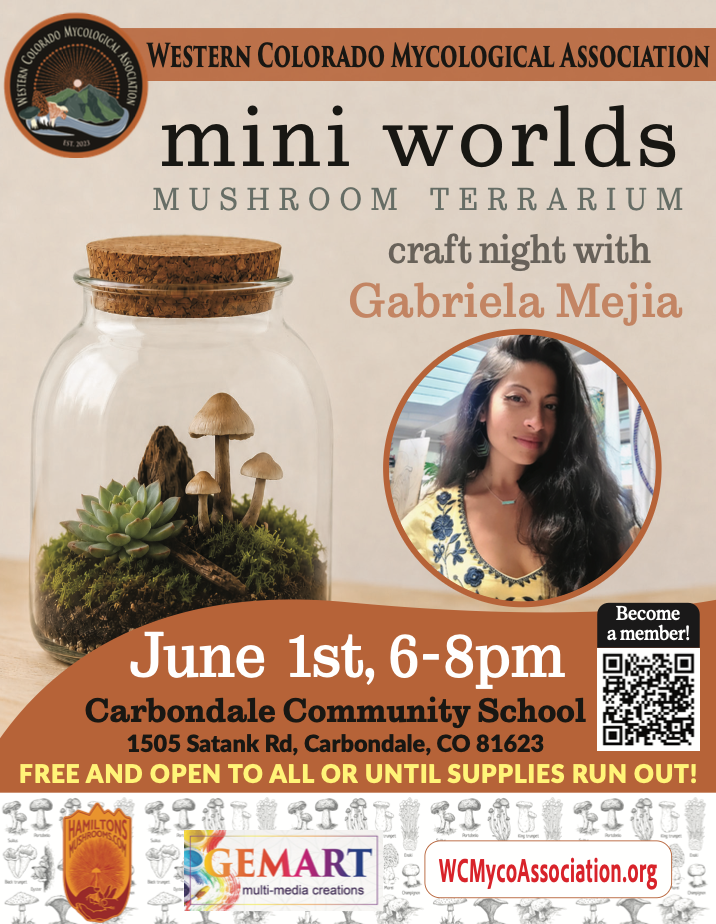 Mushroom Terrarium Build Night