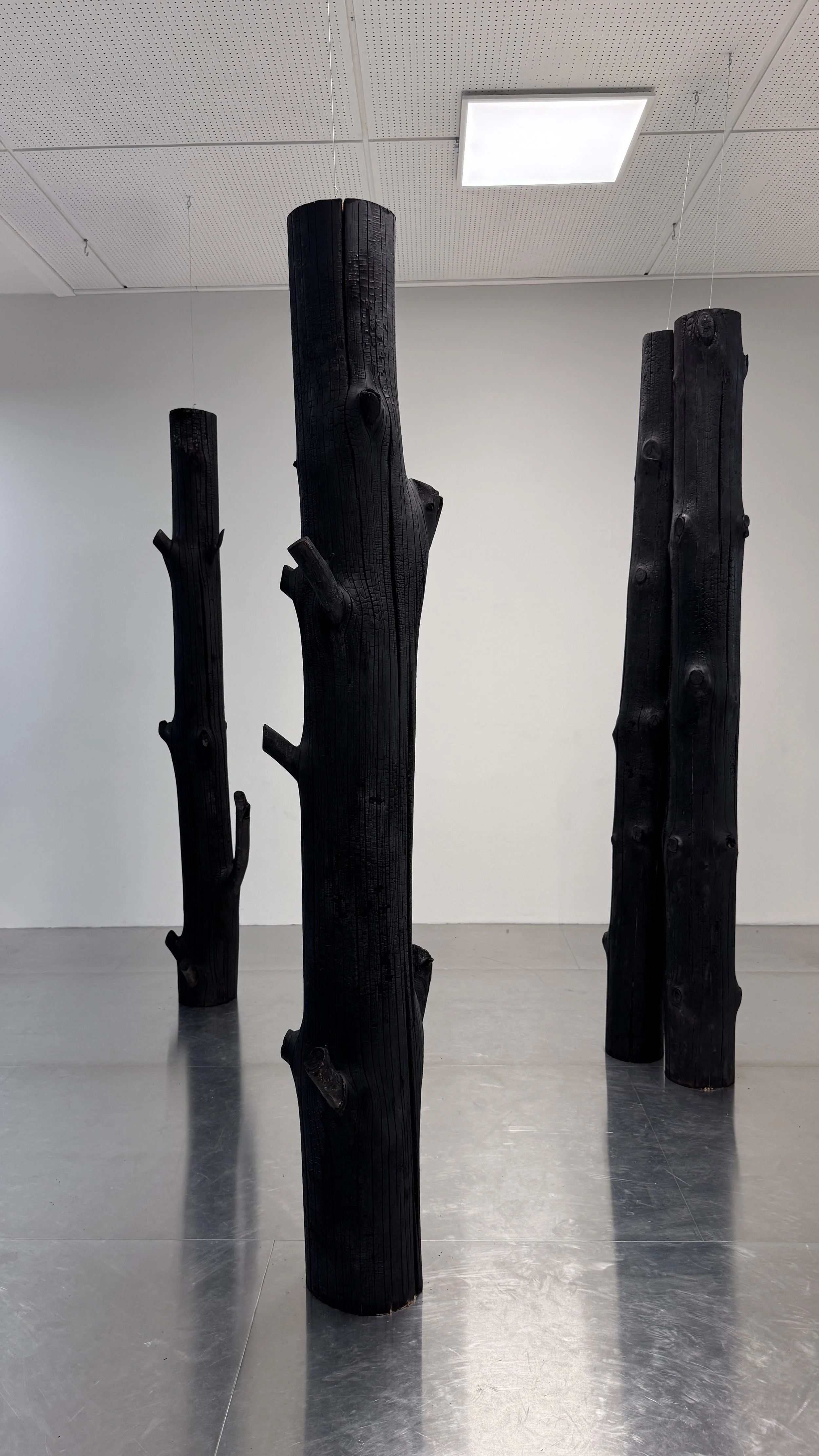 Three black wooden sculptures resembling tree trunks in a gallery space with white walls and a ceiling with a light fixture.