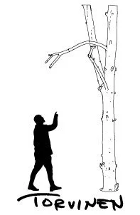 ARKKITEHTI JAAKKO TORVINEN