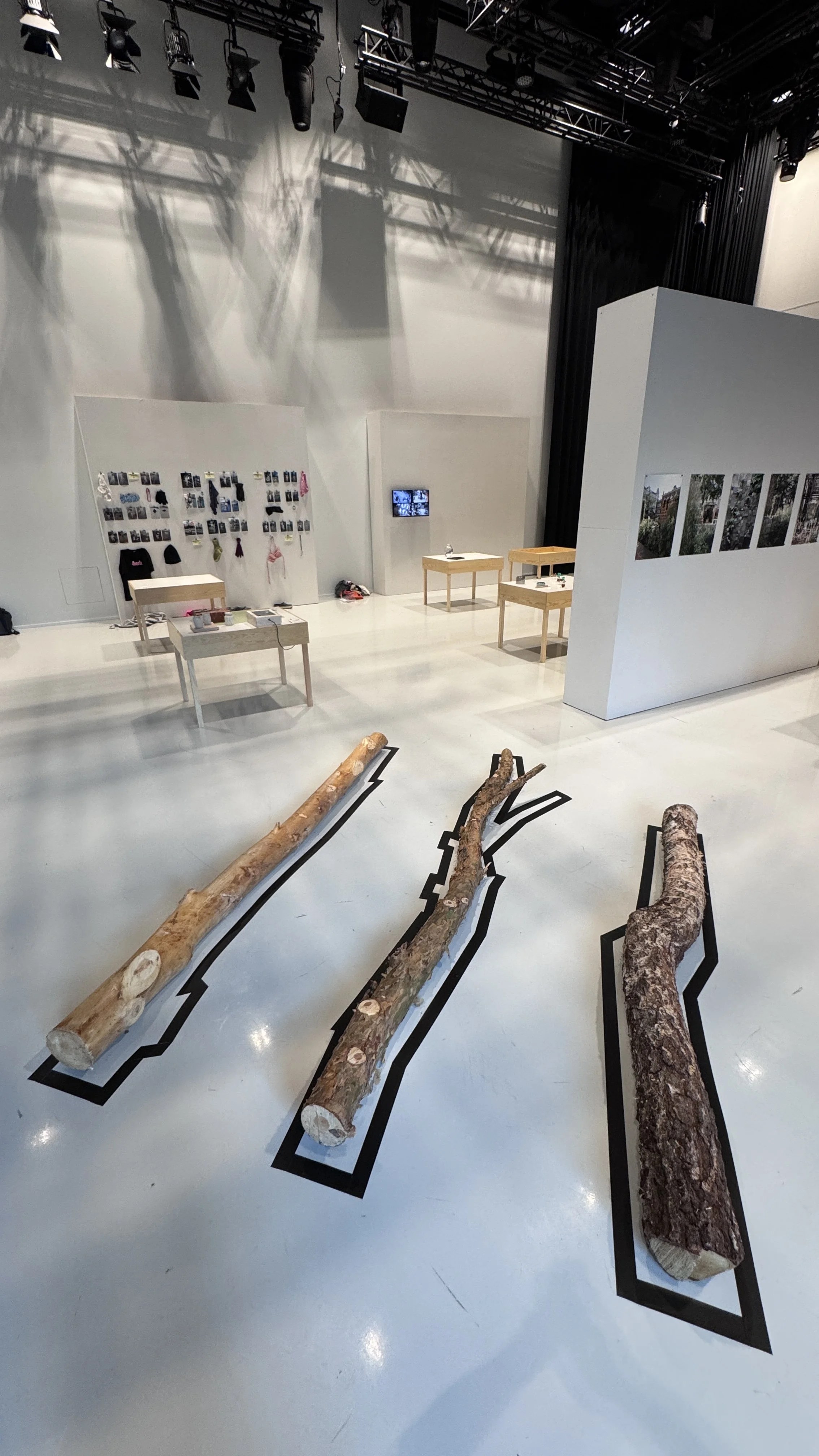 Art exhibit featuring three large trimmed logs laid out on the floor in a museum or gallery setting, with various small tables and photographs displayed on the wall in the background.