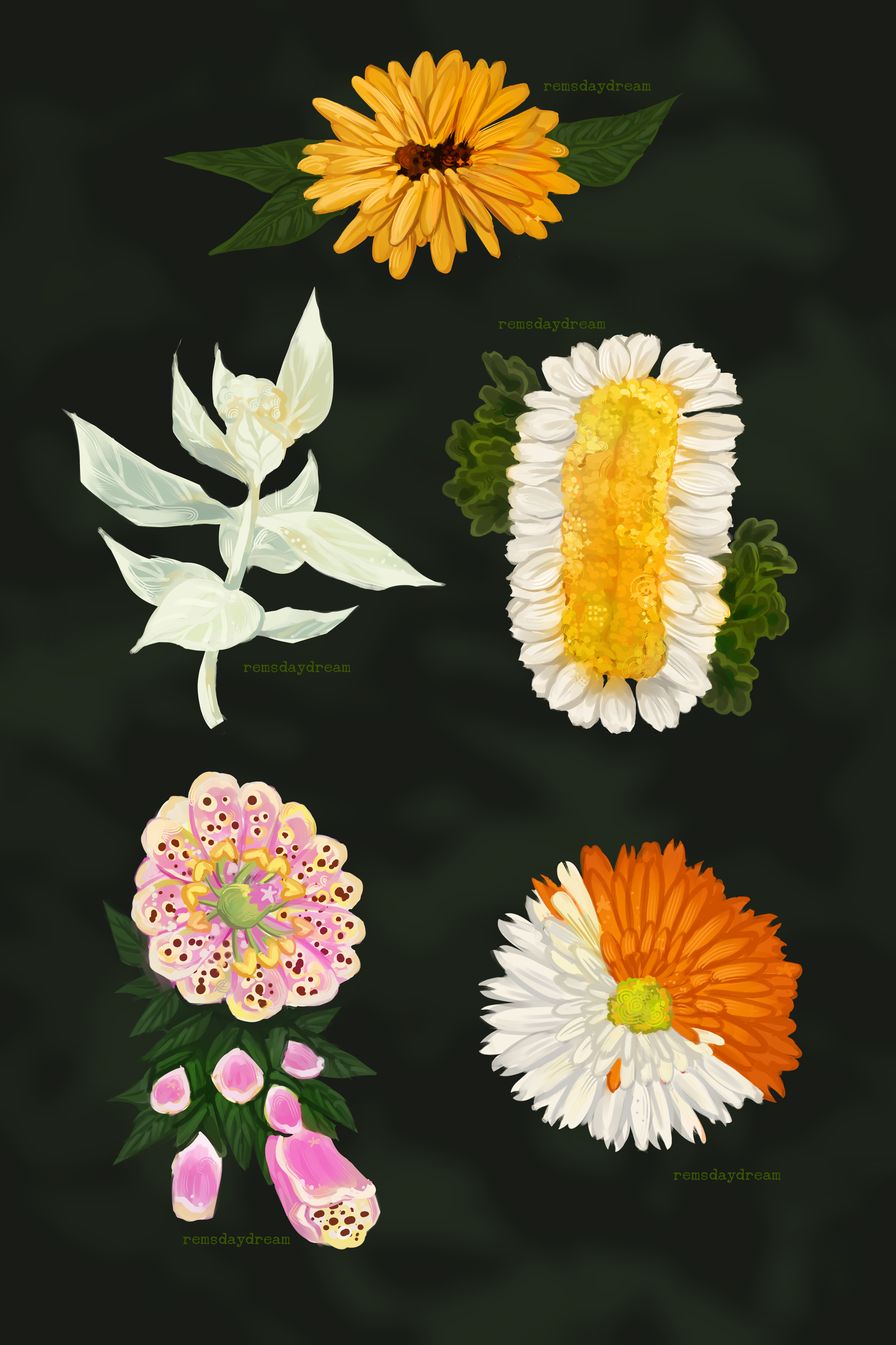 flower mutations.png
