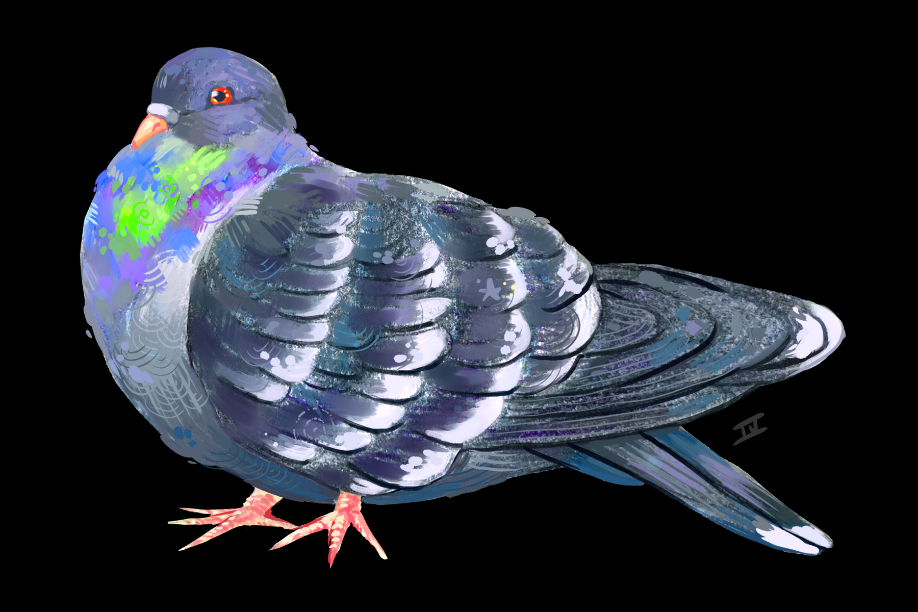 4x6 pigeon.png