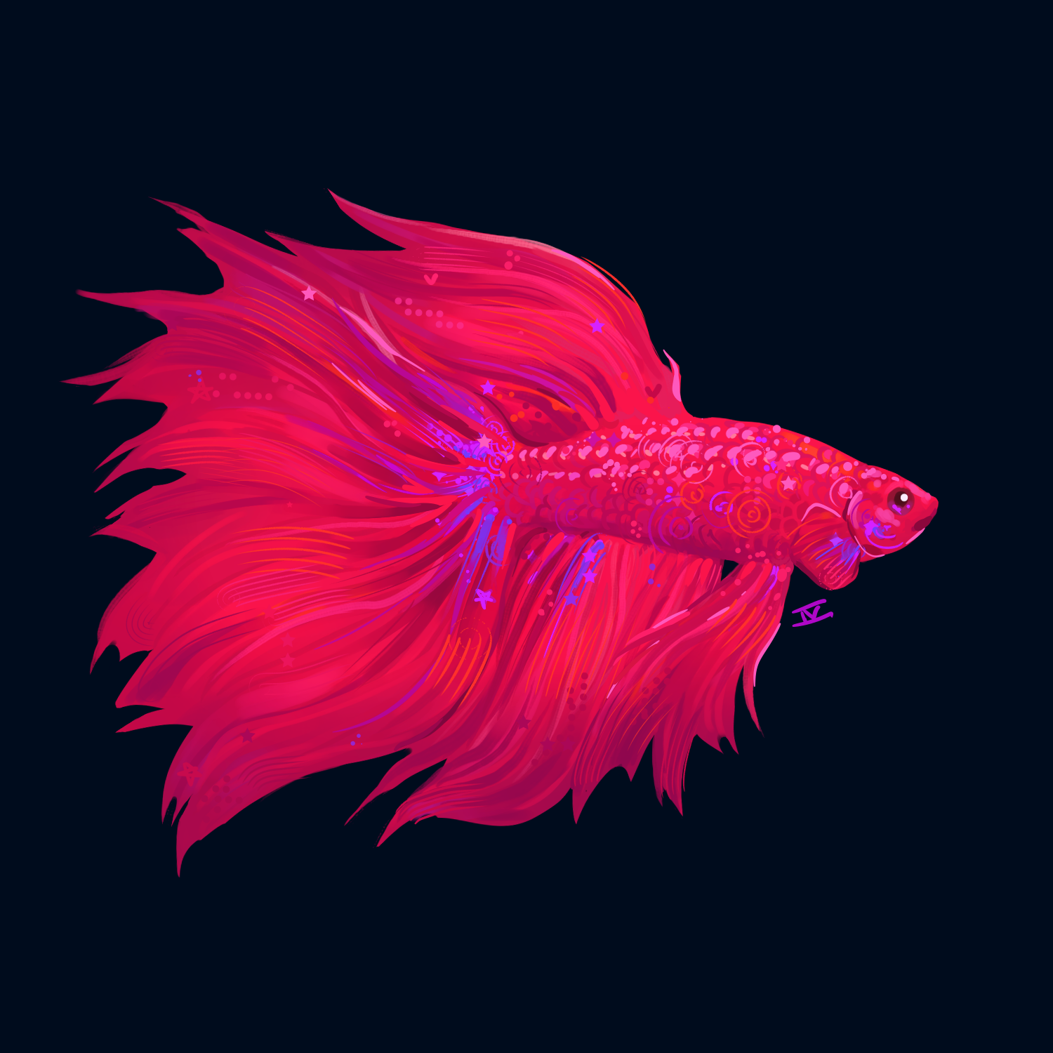 betta fish.png