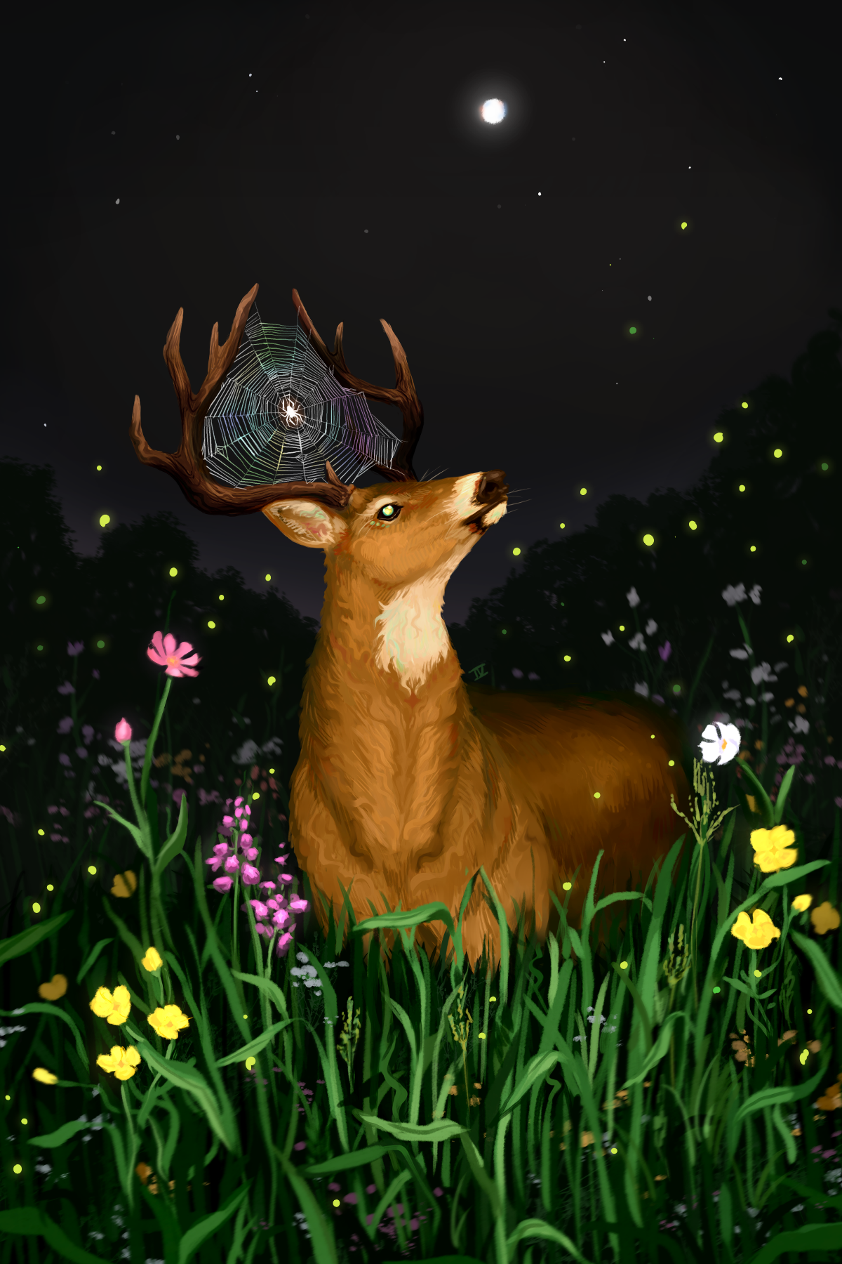 deer 4x6.png