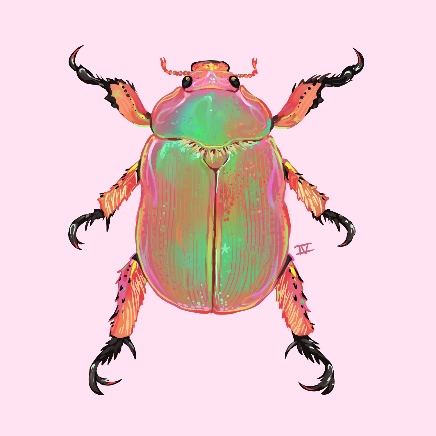 christmas beetle.png