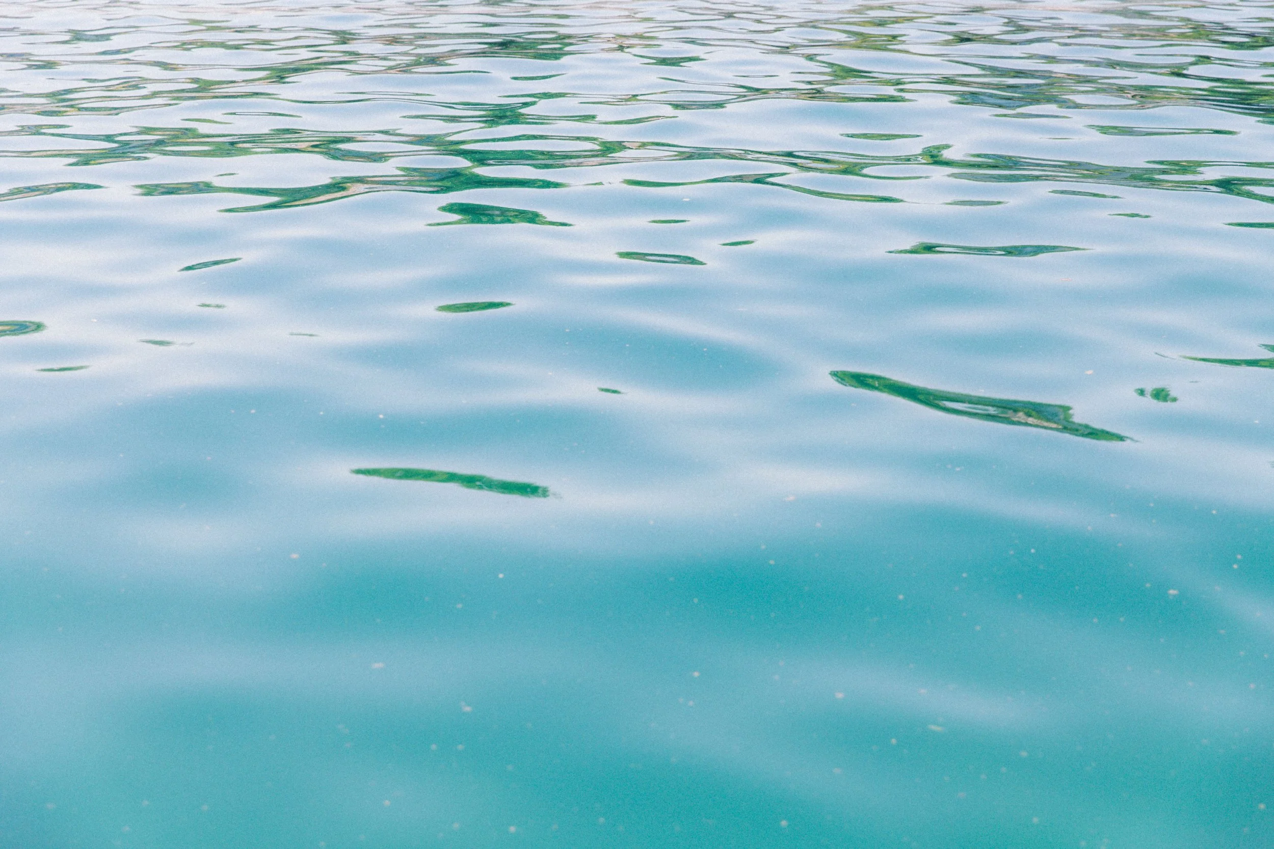 The Trip — Captain John's Boat Tours