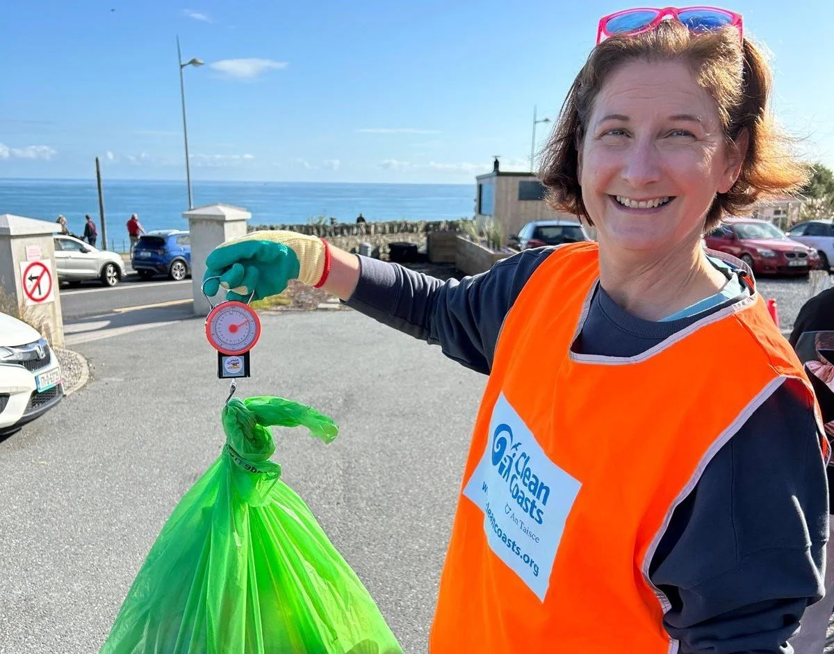 Scott calls on Council to support Tidy Towns volunteers