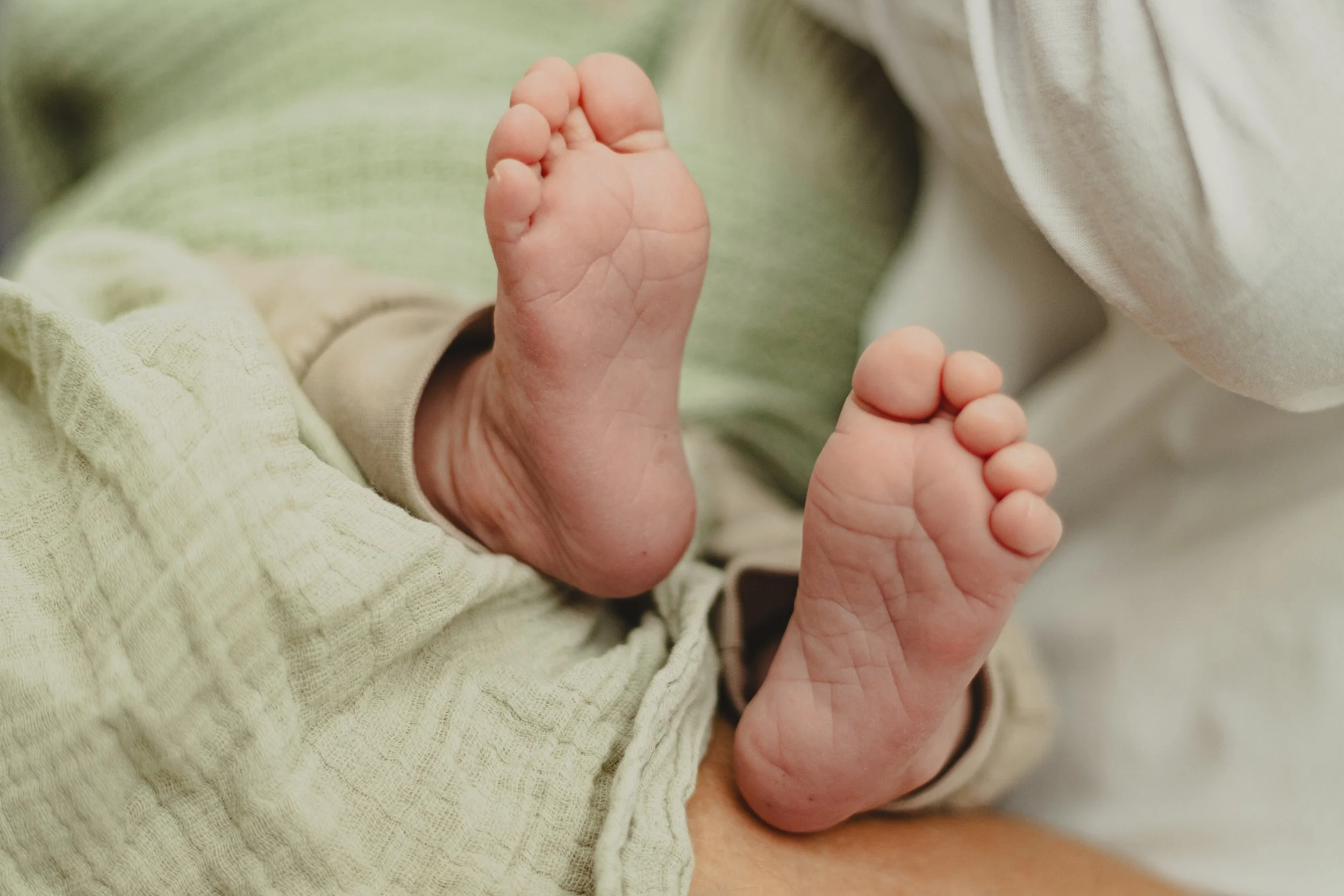 Les Salignon-247.jpg