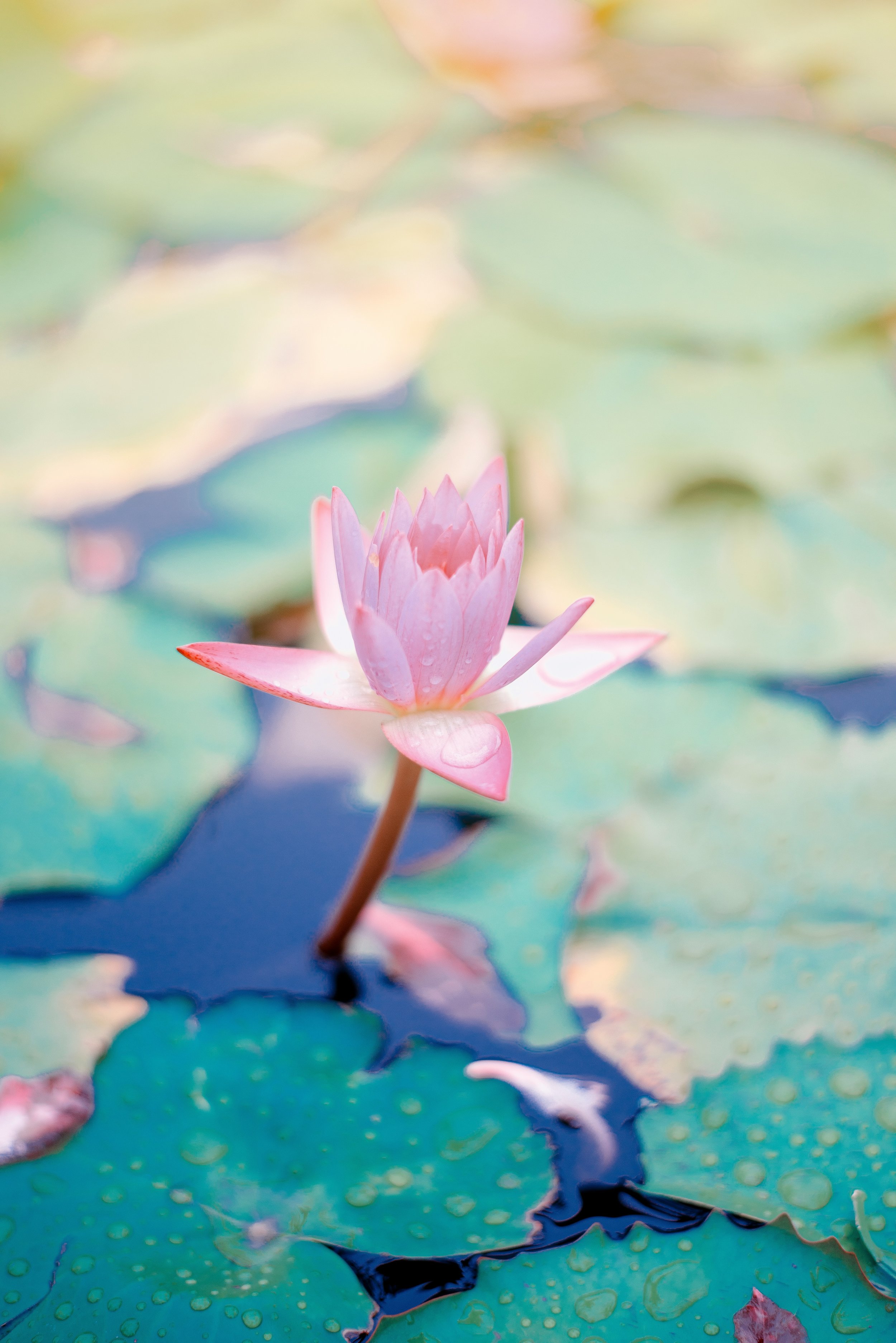 Is Spiritual Direction for Me?