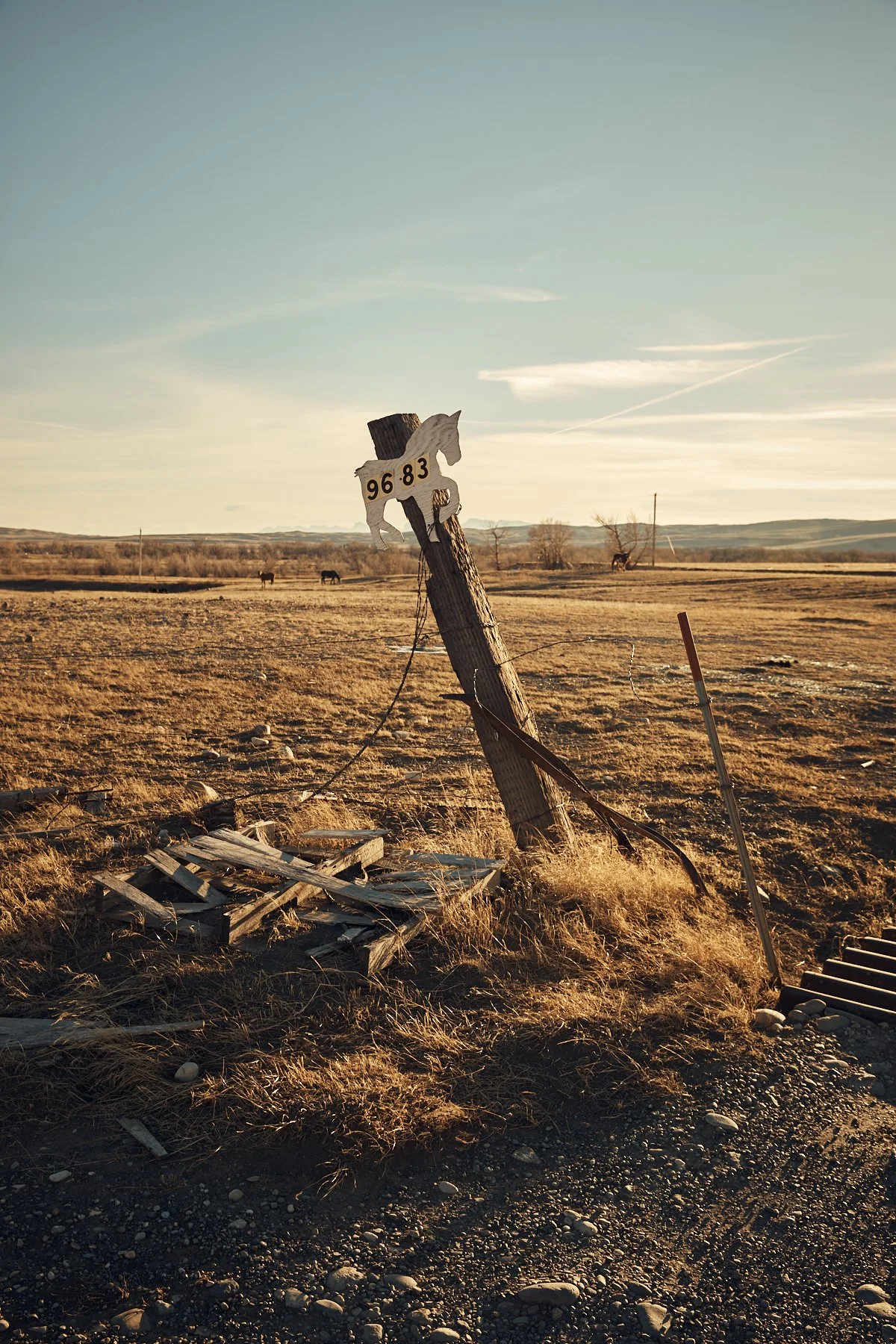 Montana_Horse_Post_Address.jpg