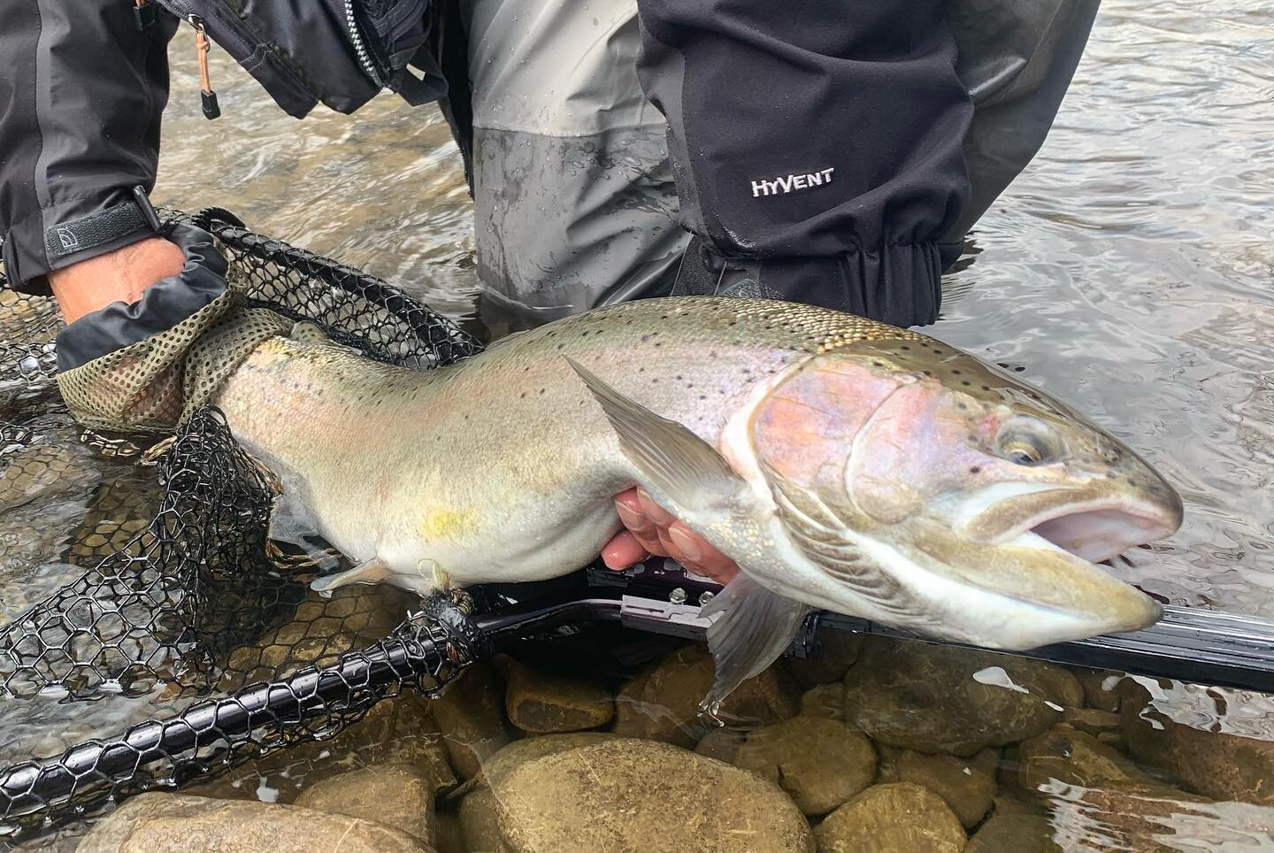 Going back to the lake #steelhead #steelheadfishing #steelheadflyfishing #steelheadspey #steelheadspeyfishing #flyfishing #fishing #speyfishing #spey #trout #troutfishing #troutflyfishing @douglasflyfishing