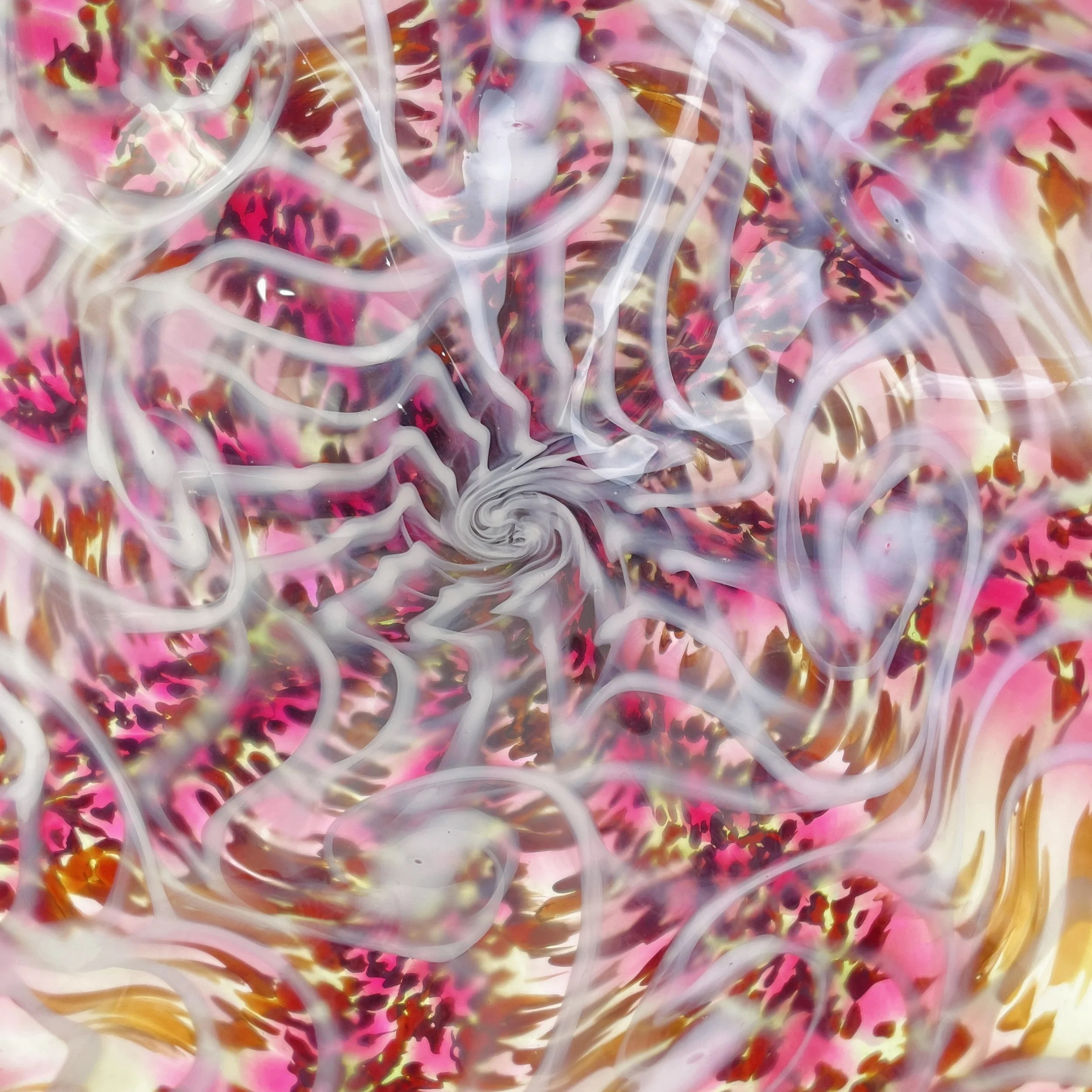 2026-02-22 13.07.12.jpg