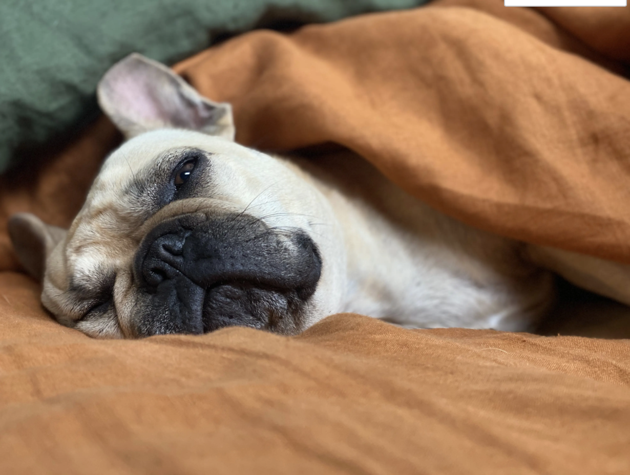 Slow Start Workaholic