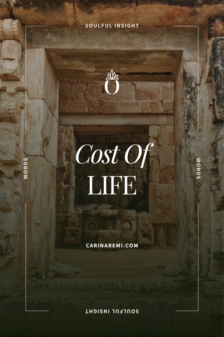 Cost Of Life