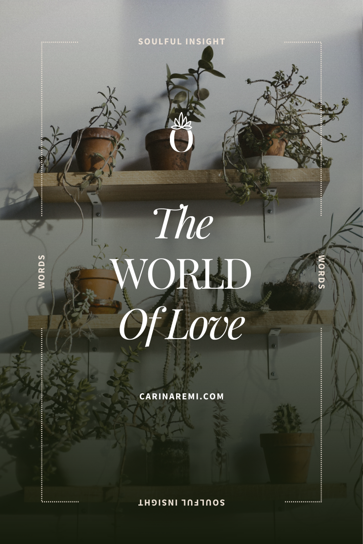 The World Of Love