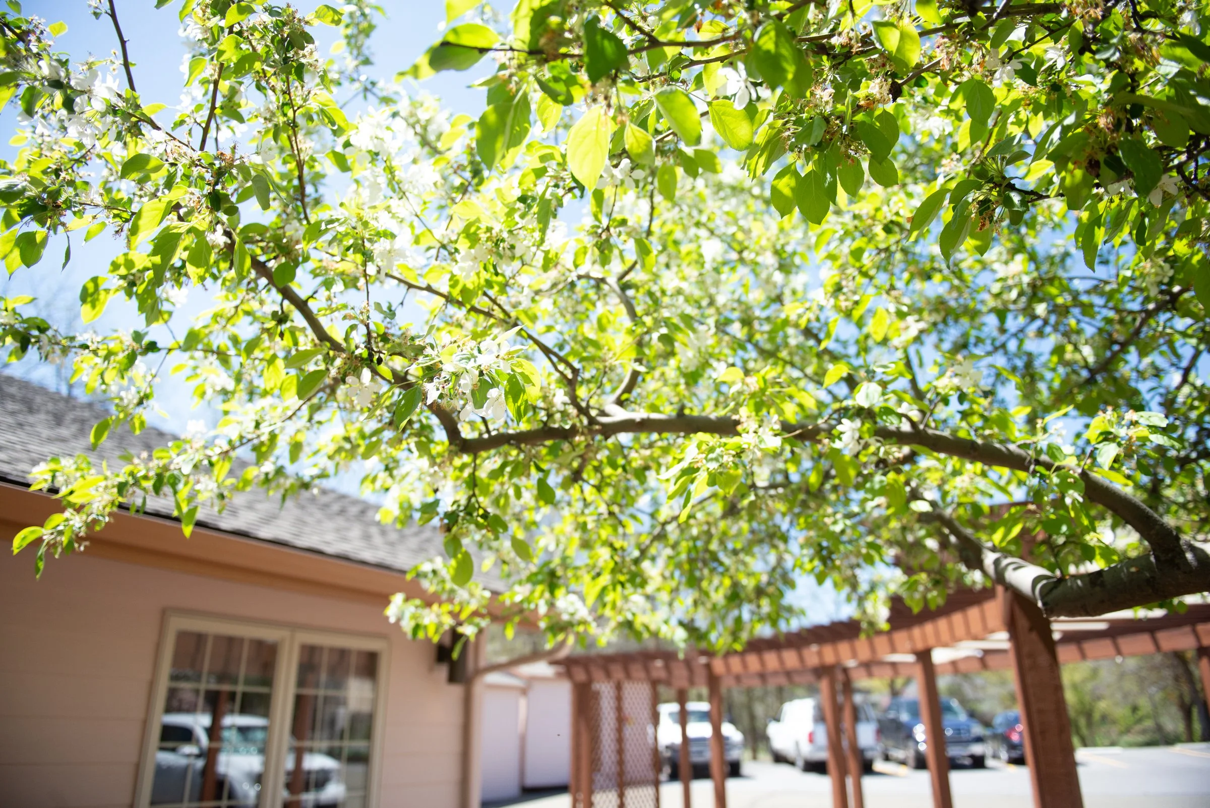 General 3 — Madrone Hospice