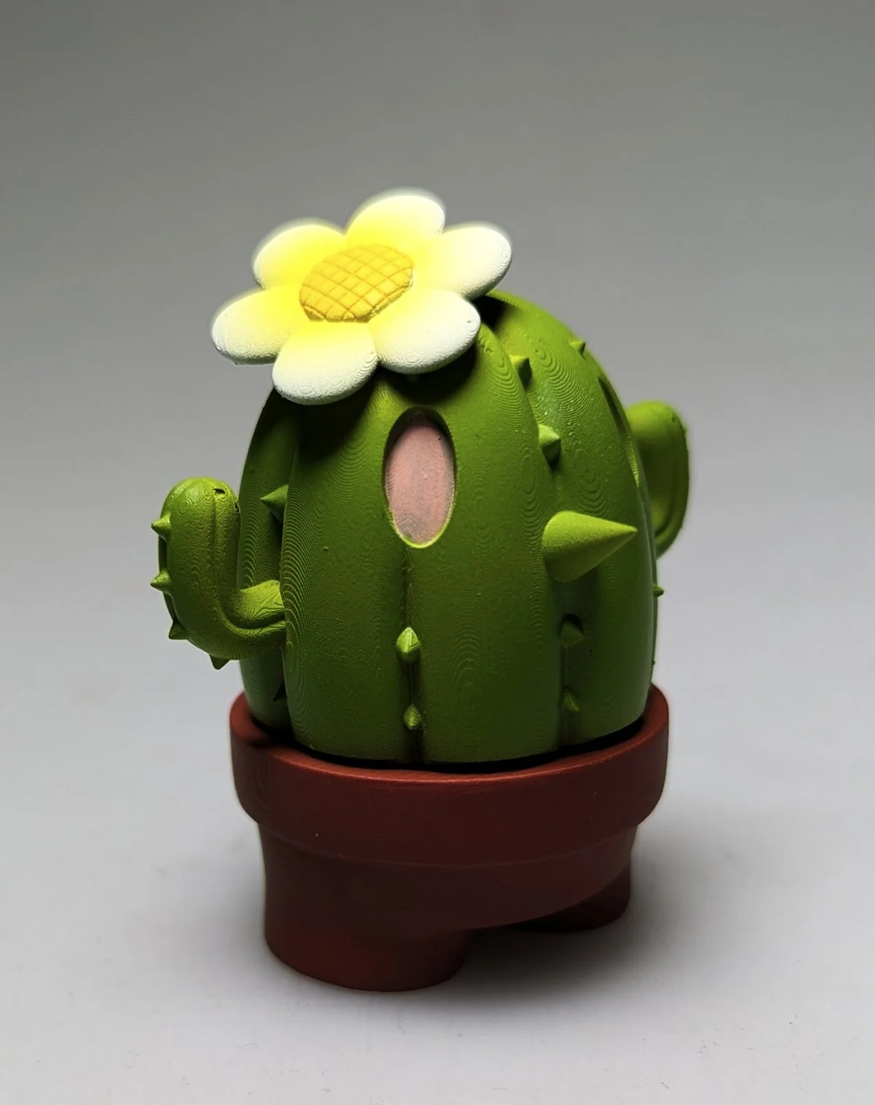 mini-catcus-green.jpg