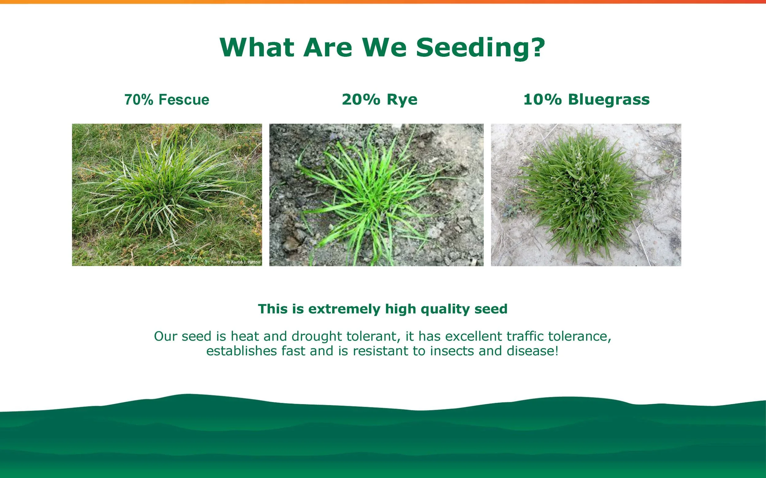 2024 Rd 6 Early Fall Revitalizer Fertilizer Training_Page_08.jpg