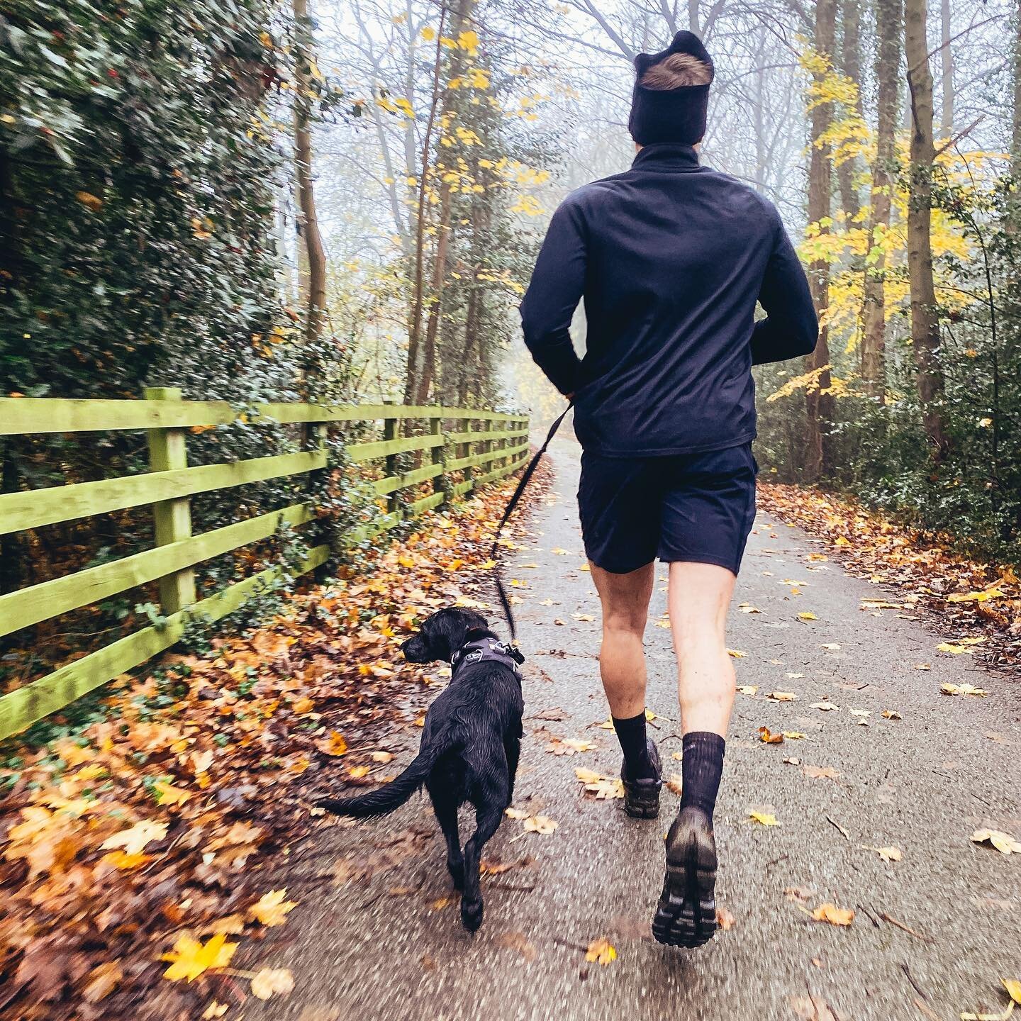Misty morning on the moor 🏃&zwj;♂️