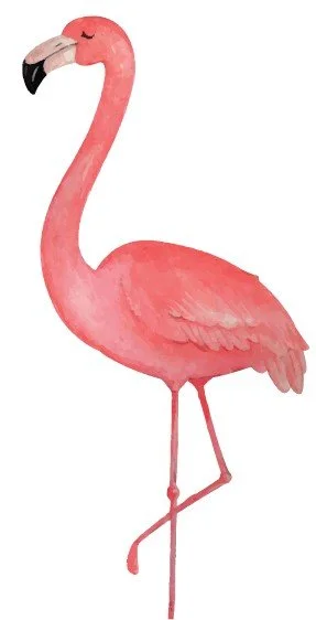 Ashley - The Palm Bat