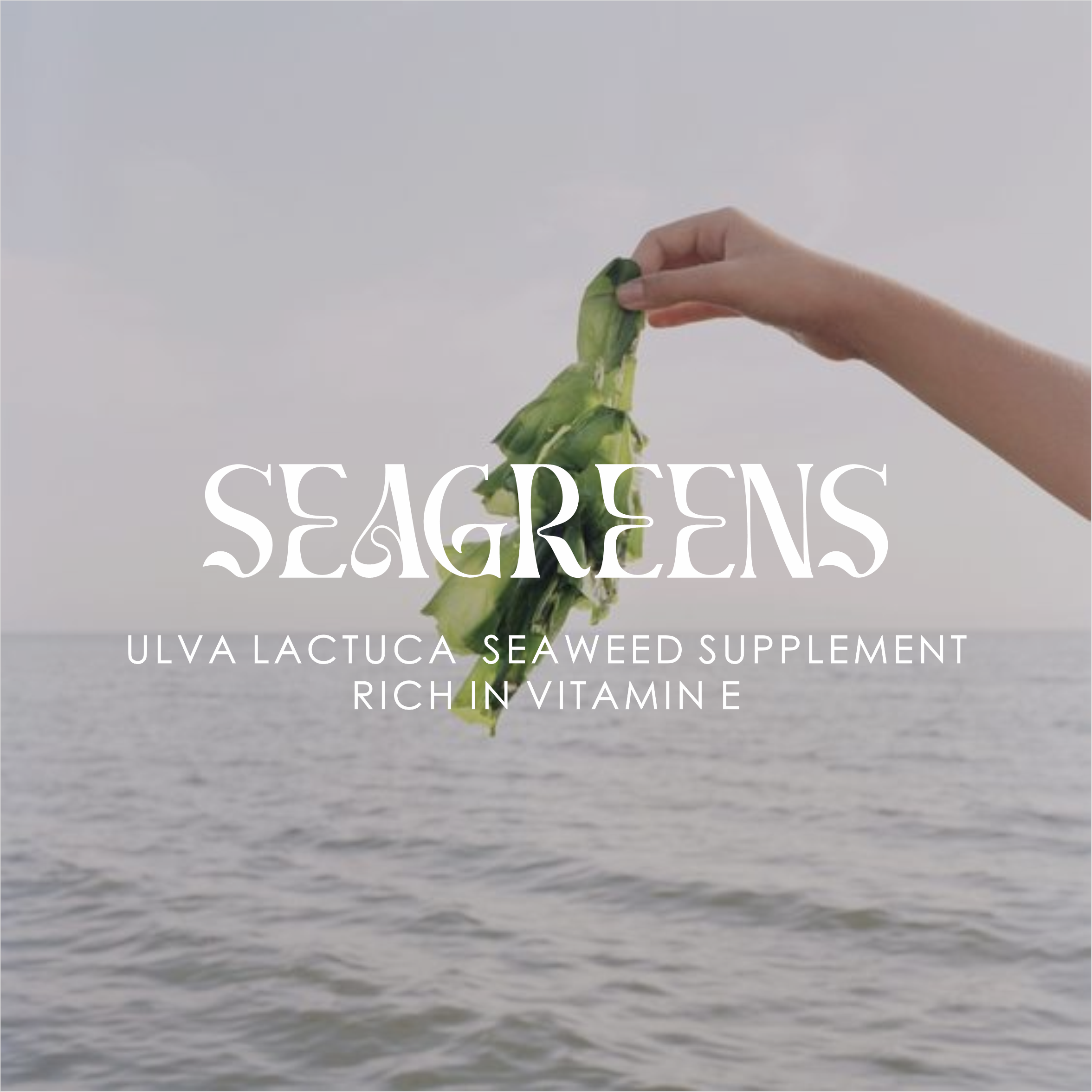 seagreens.png