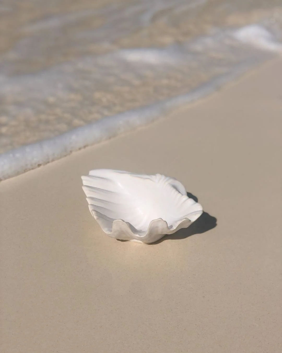 shell soap dish.jpg