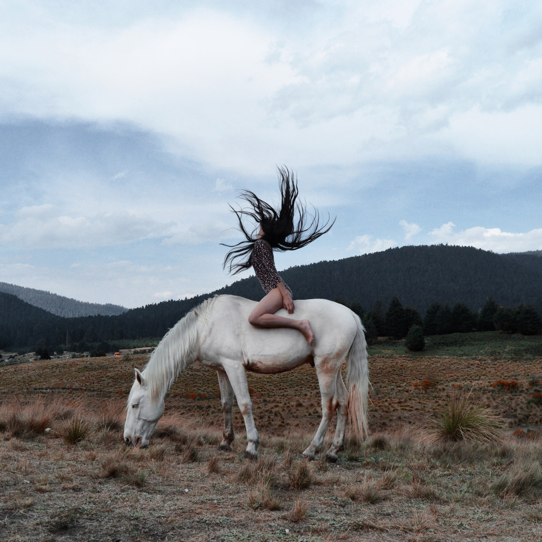 The Origin of Volerra