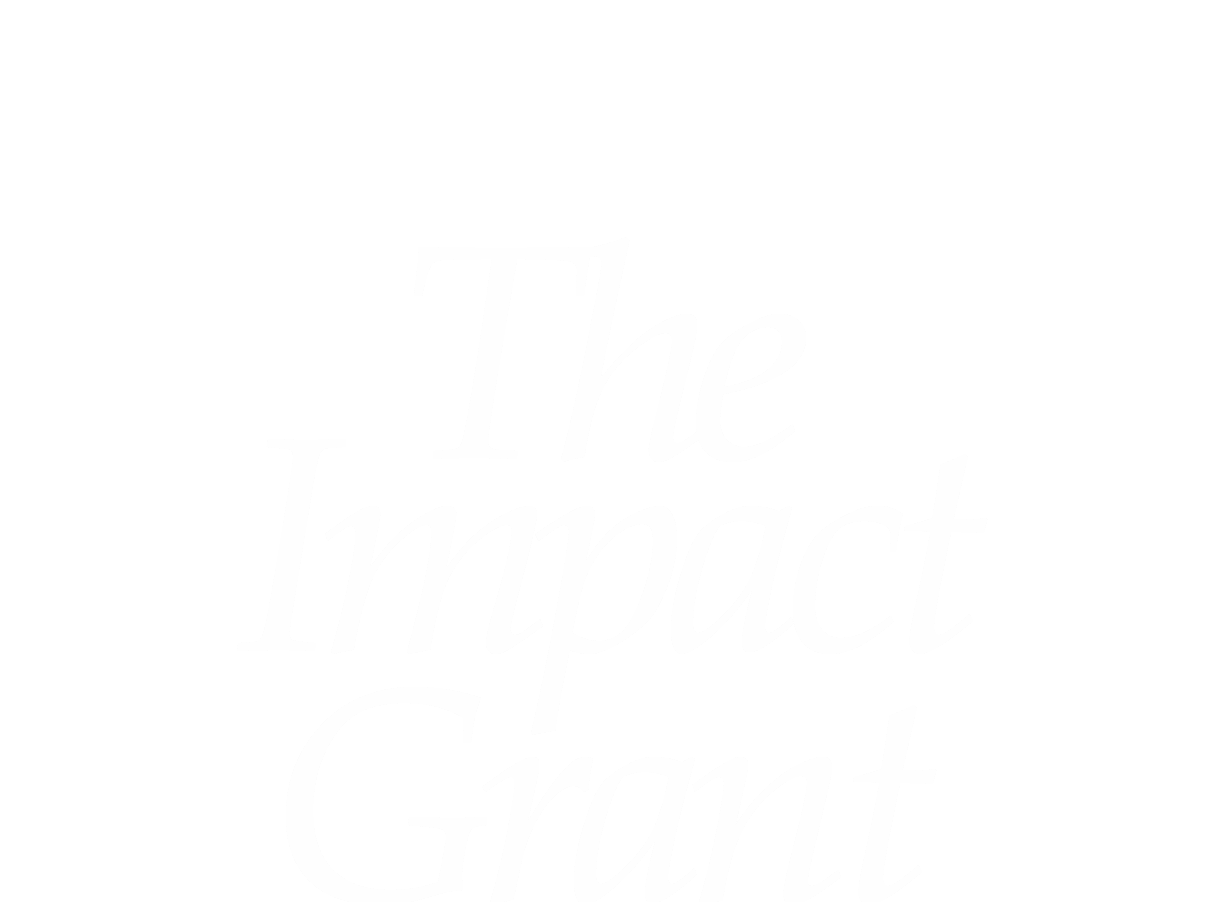Black background with white, cursive text reading "The Impact Grant".