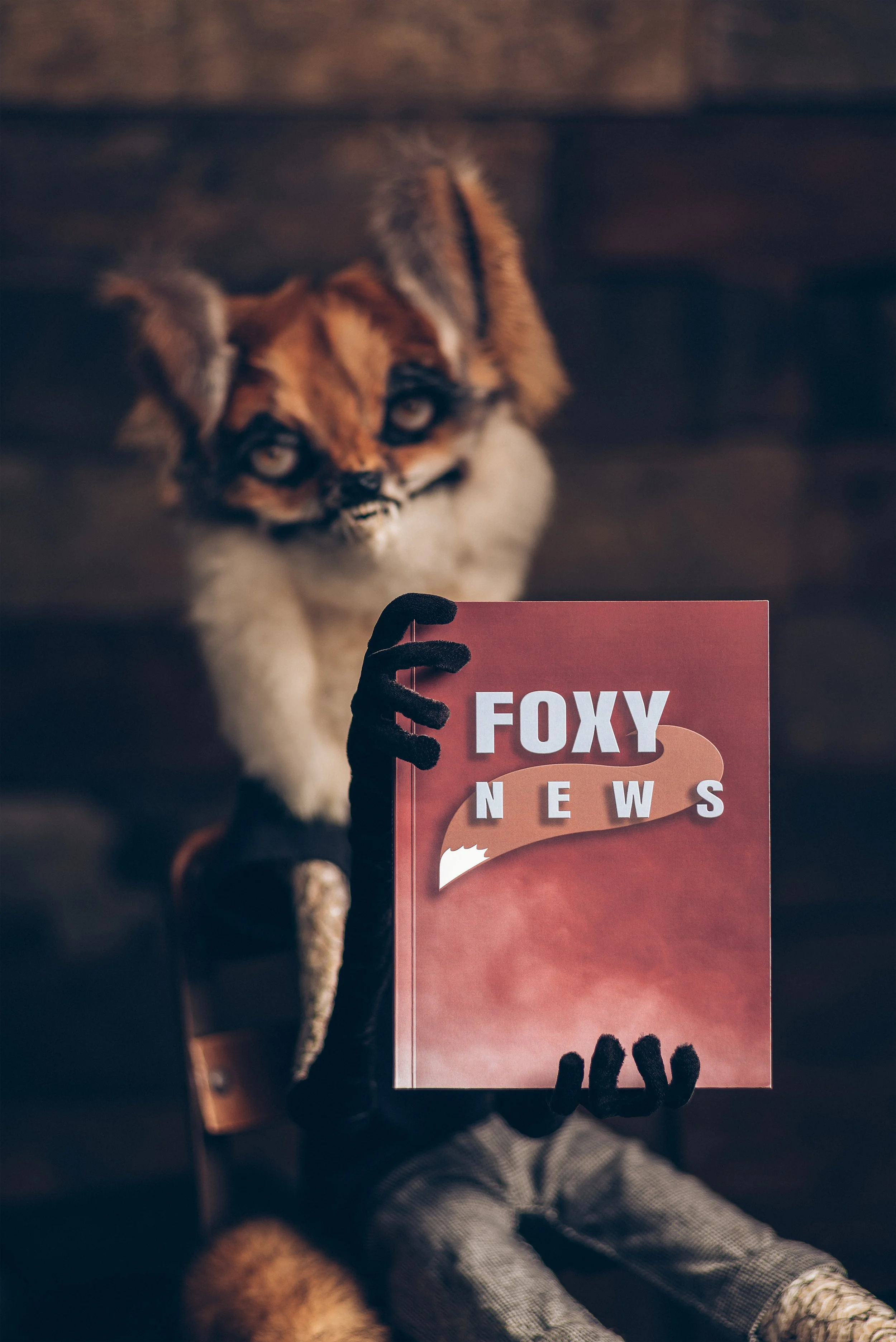 Little Fox Holding Book